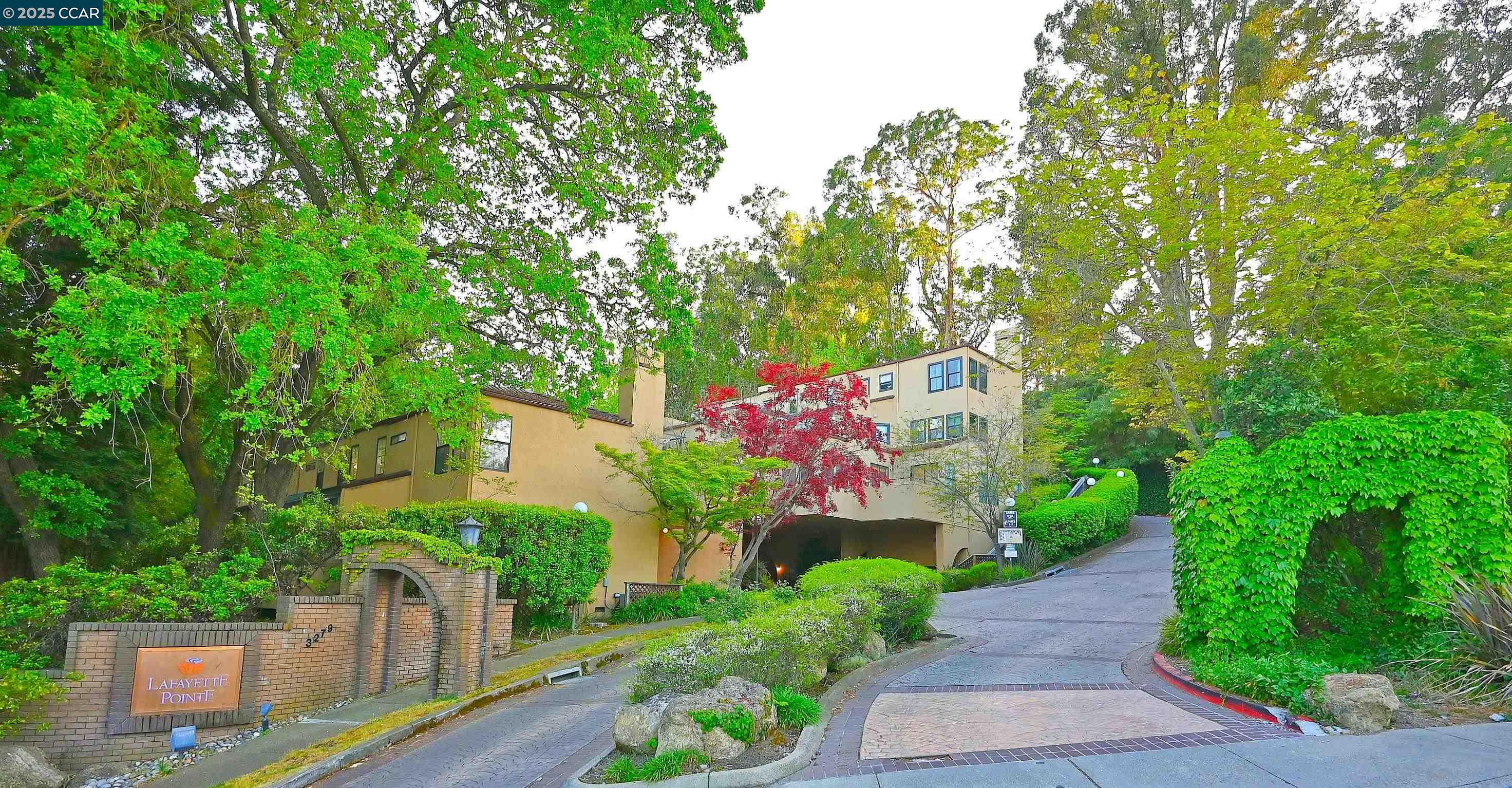 Detail Gallery Image 42 of 43 For 3279 Mt Diablo Ct #1,  Lafayette,  CA 94549 - 2 Beds | 2/1 Baths