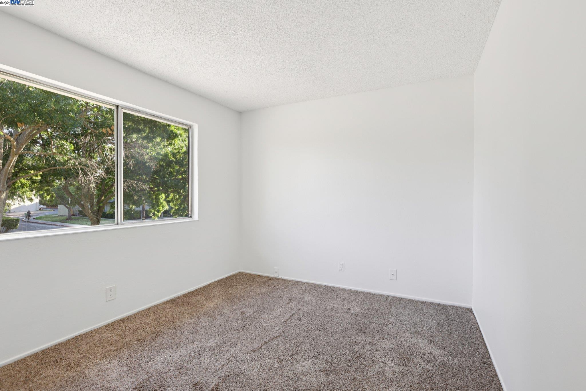 Photo #14: 41108288 Listing: Photo #14