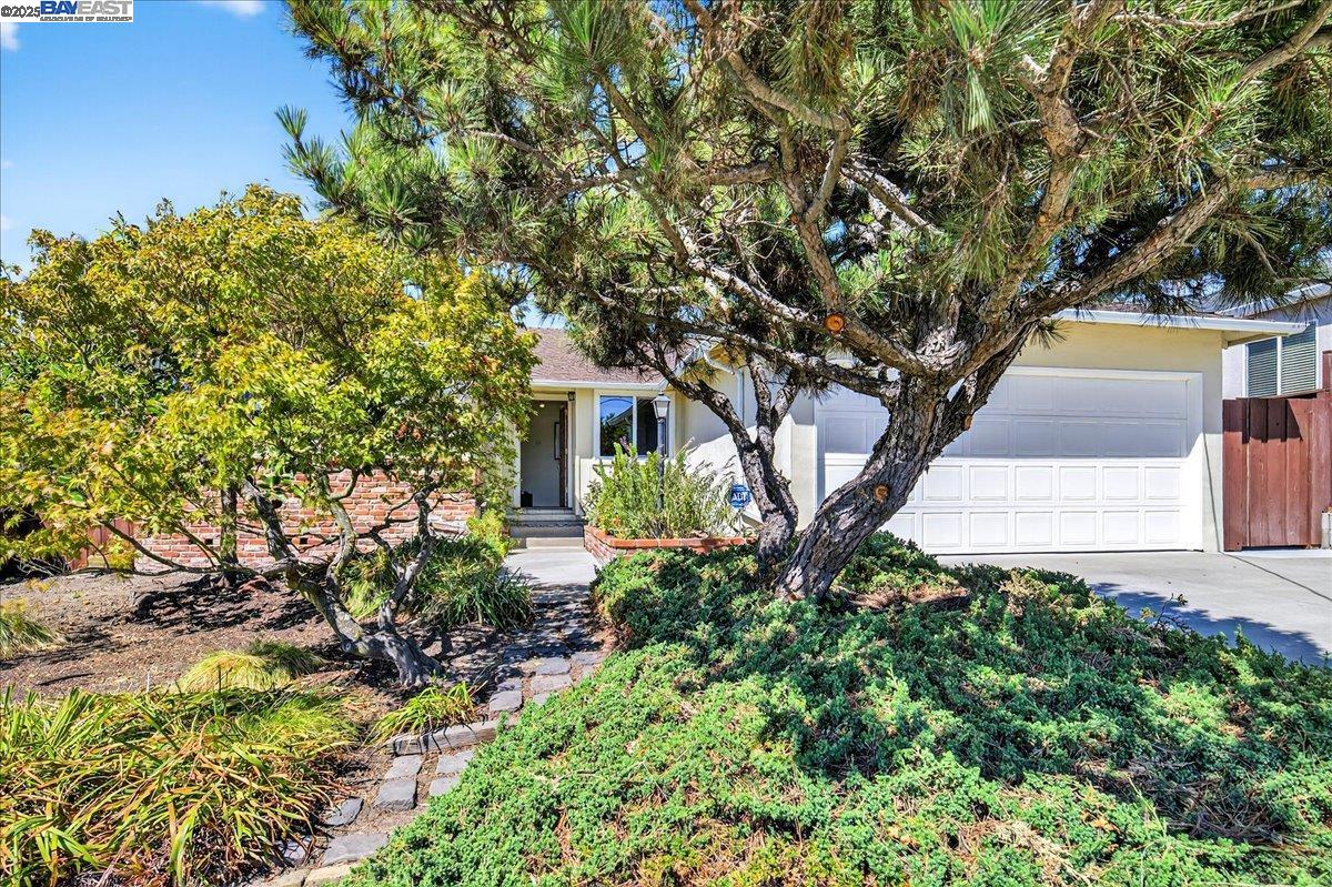 Detail Gallery Image 2 of 41 For 4028 Meadowview Dr, Castro Valley,  CA 94546 - 3 Beds | 2 Baths