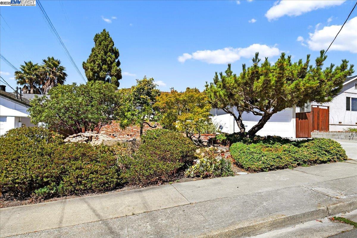 Detail Gallery Image 3 of 41 For 4028 Meadowview Dr, Castro Valley,  CA 94546 - 3 Beds | 2 Baths