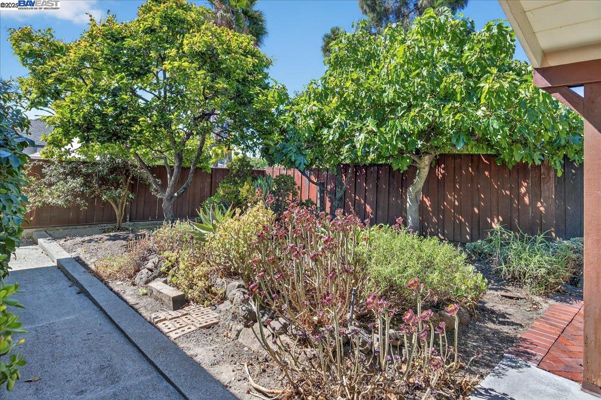 Detail Gallery Image 37 of 41 For 4028 Meadowview Dr, Castro Valley,  CA 94546 - 3 Beds | 2 Baths