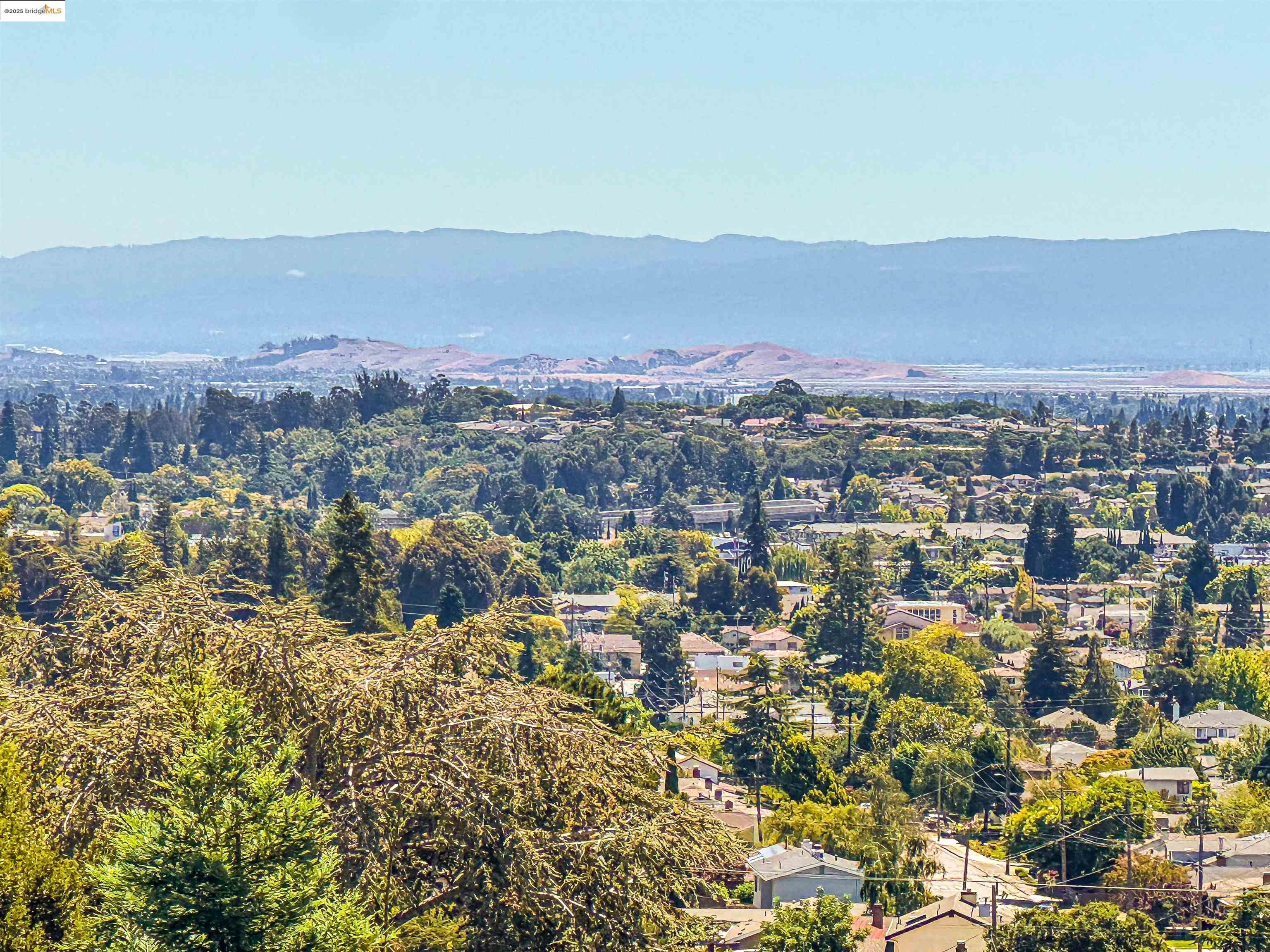 Detail Gallery Image 48 of 58 For 4329 Lawrence Dr, Castro Valley,  CA 94546 - 4 Beds | 3 Baths
