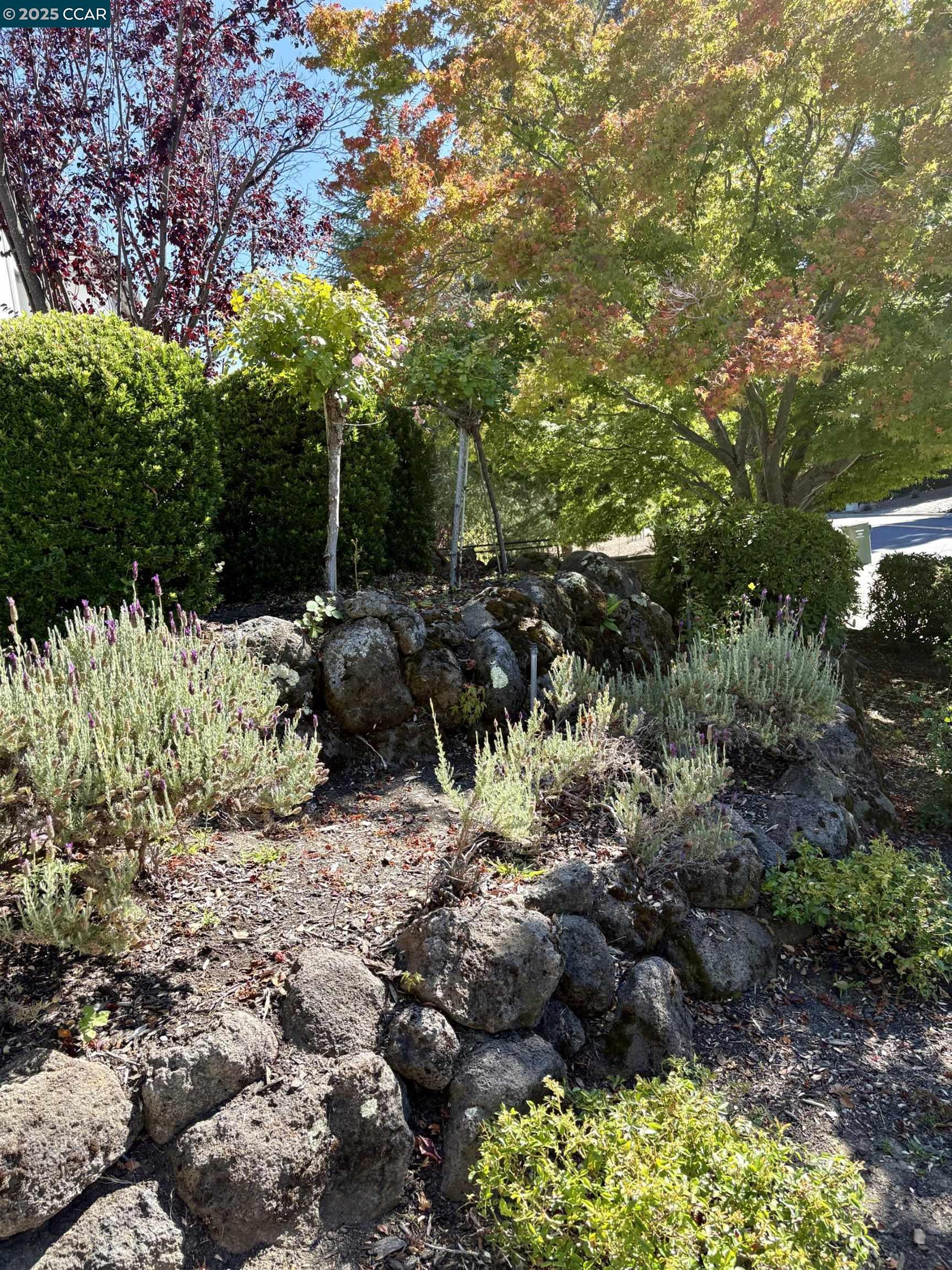 Detail Gallery Image 38 of 41 For 30 Crestview Ct, Lafayette,  CA 94549 - 5 Beds | 4/1 Baths