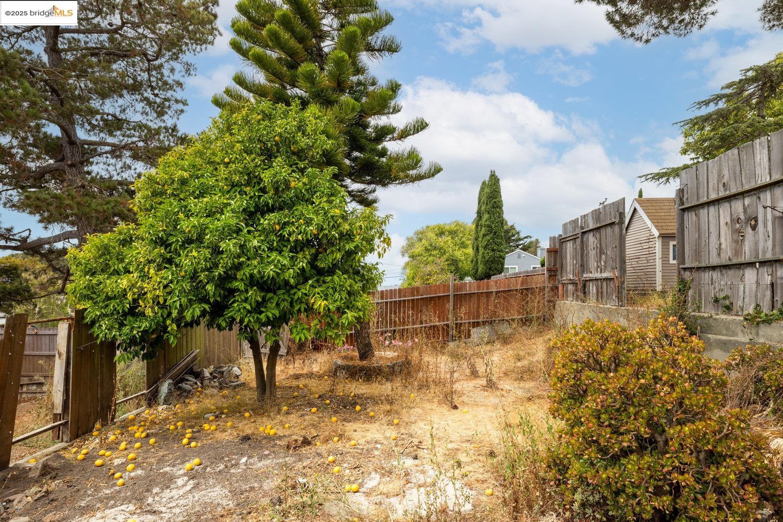 Detail Gallery Image 32 of 43 For 619 Santa Maria Rd, El Sobrante,  CA 94803 - 3 Beds | 2 Baths