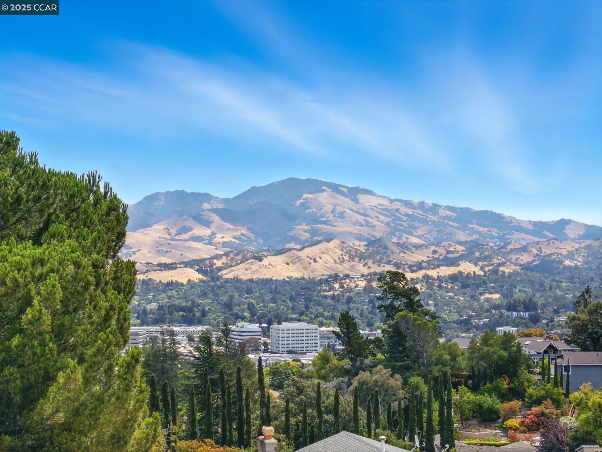 Detail Gallery Image 36 of 47 For 116 Rosemont Ct, Walnut Creek,  CA 94597 - 3 Beds | 2/1 Baths