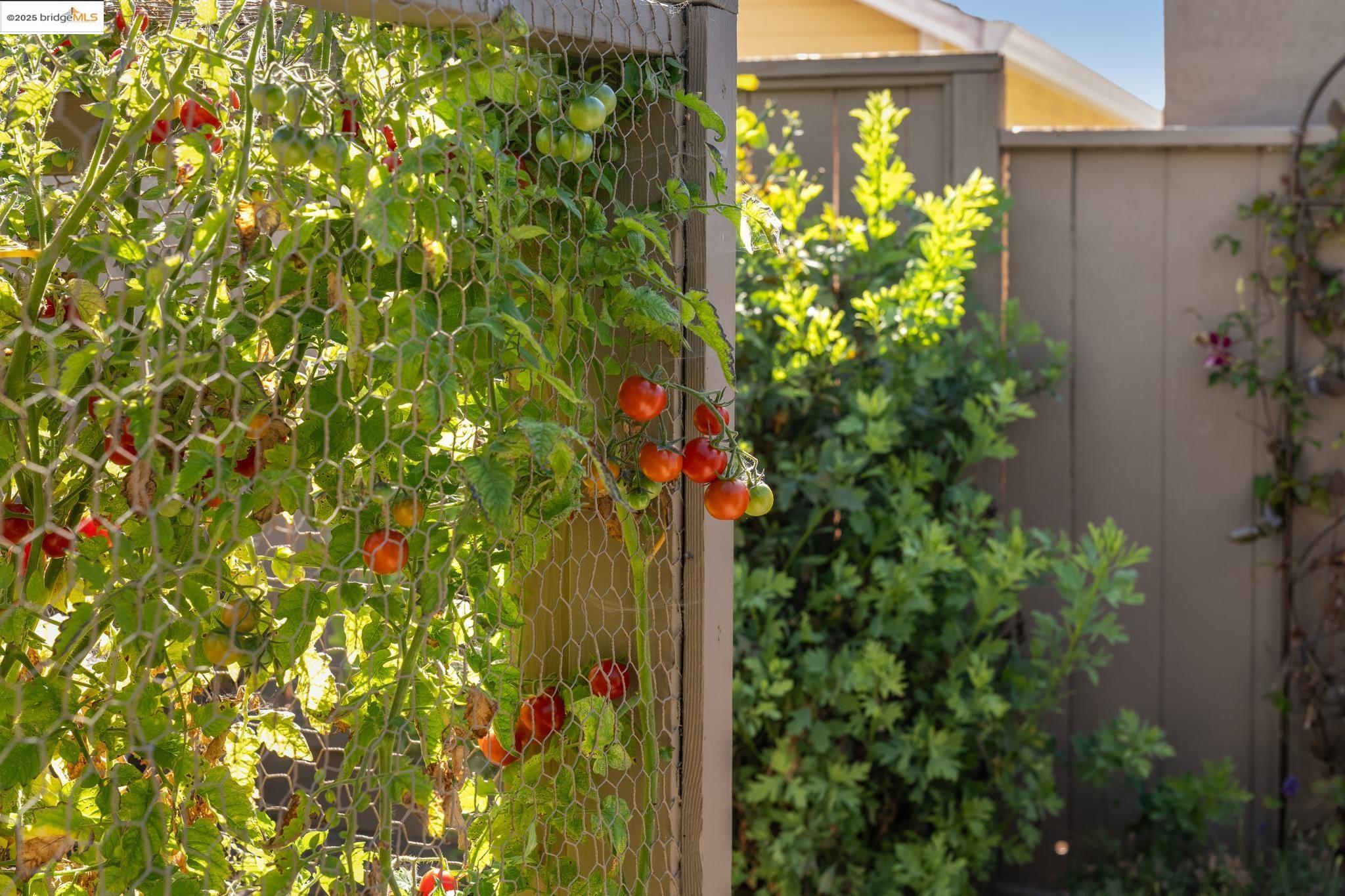 Detail Gallery Image 33 of 46 For 629 31st St, Richmond,  CA 94804 - 2 Beds | 2 Baths