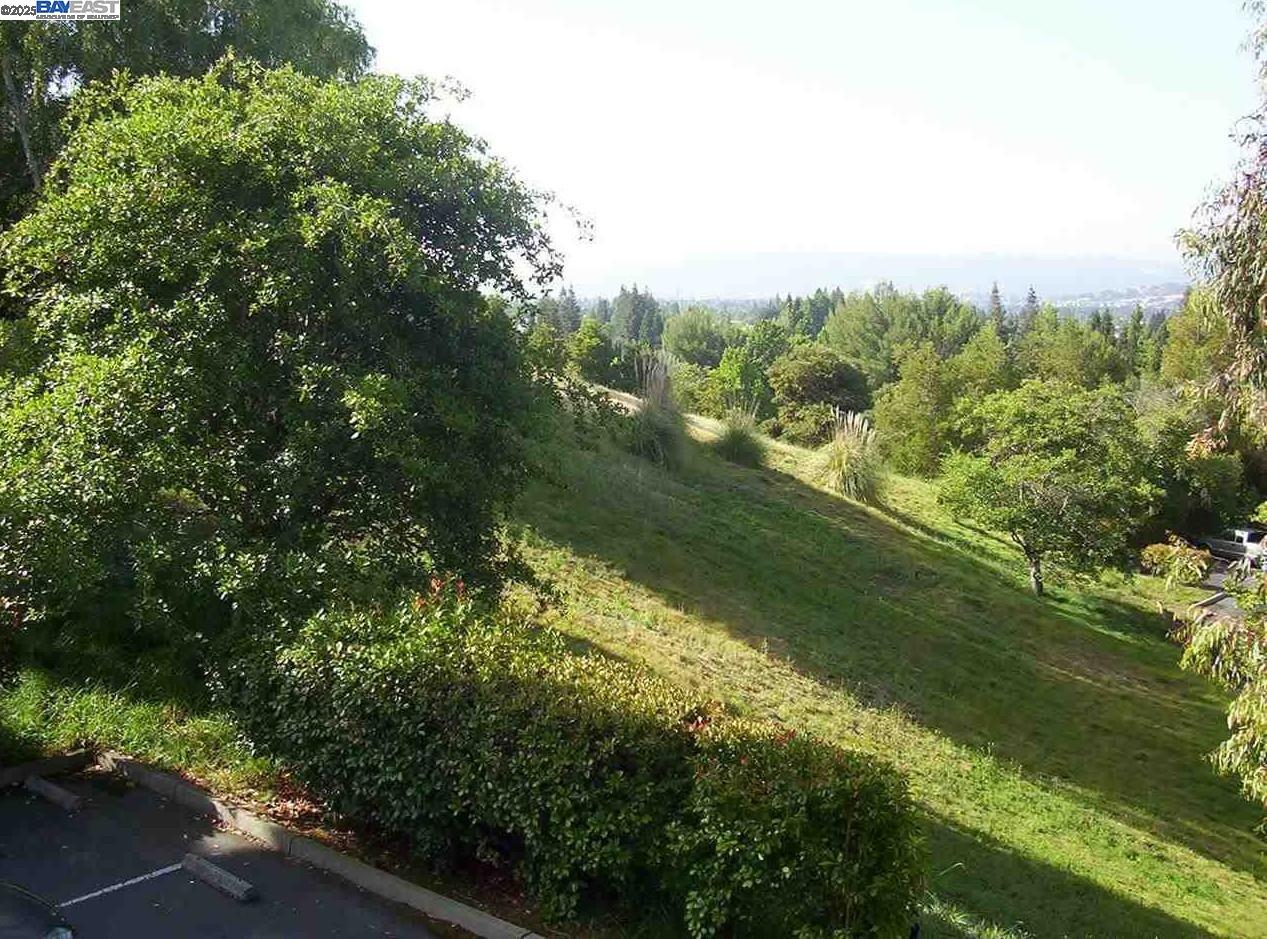 Photo #3: 41108362 Listing 