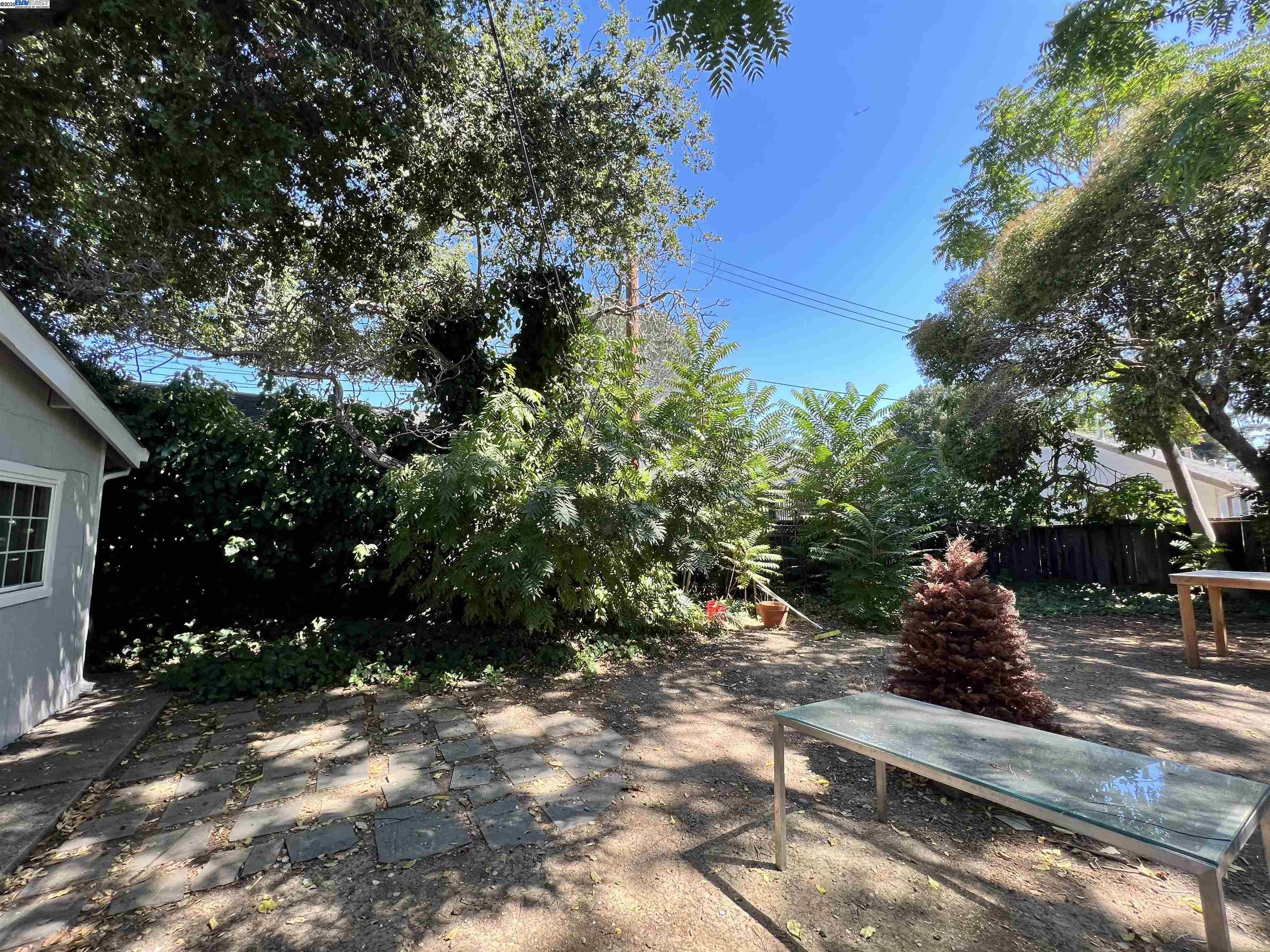 Detail Gallery Image 11 of 41 For 726 Homer Ave, Palo Alto,  CA 94301 - 3 Beds | 2 Baths