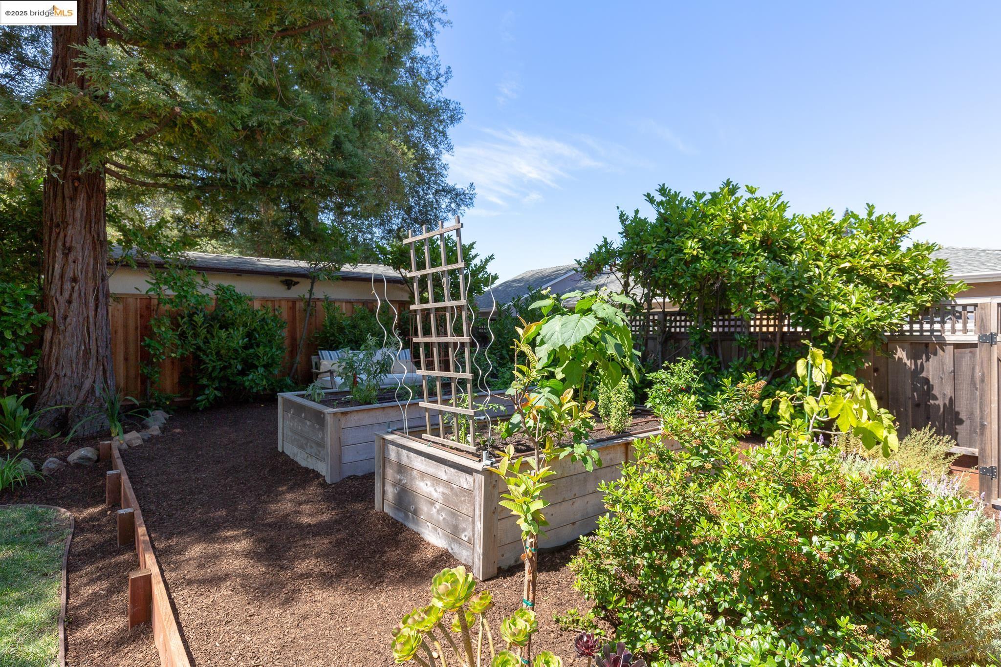Detail Gallery Image 38 of 50 For 155 Arbor Dr, Piedmont,  CA 94610 - 3 Beds | 2 Baths