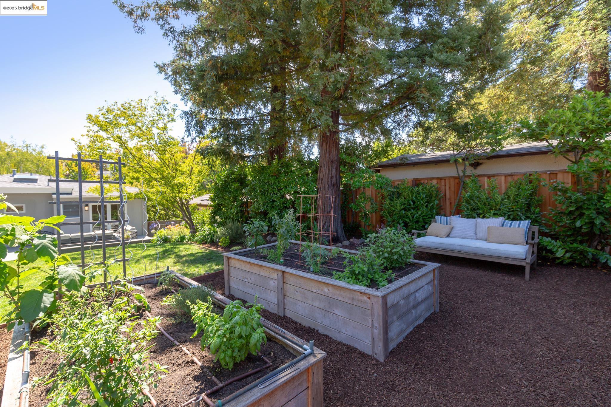 Detail Gallery Image 40 of 50 For 155 Arbor Dr, Piedmont,  CA 94610 - 3 Beds | 2 Baths