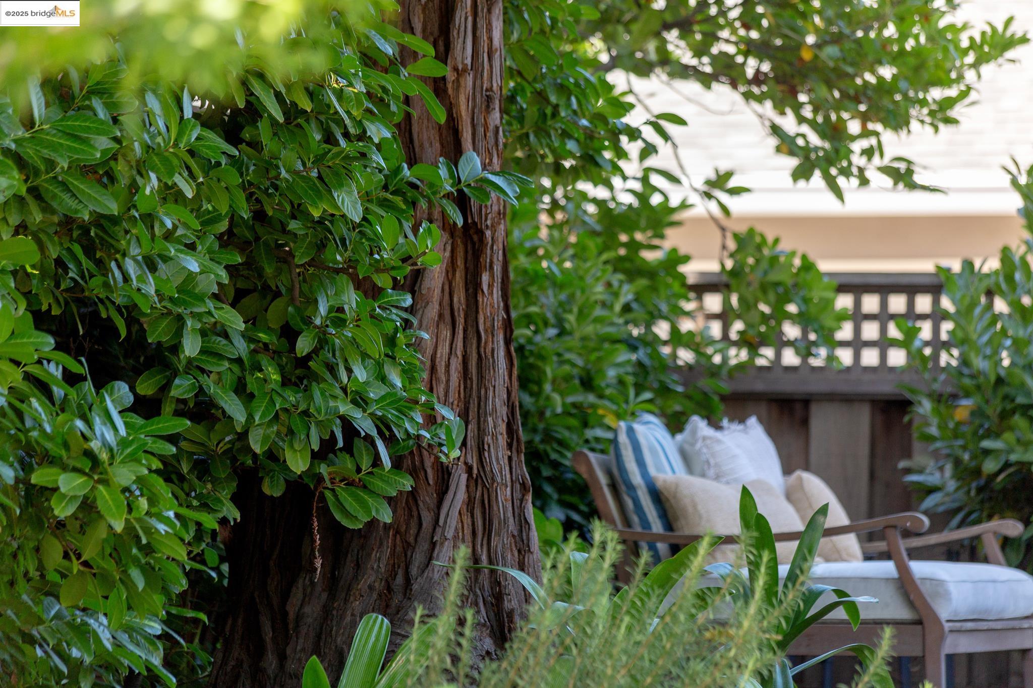 Detail Gallery Image 42 of 50 For 155 Arbor Dr, Piedmont,  CA 94610 - 3 Beds | 2 Baths