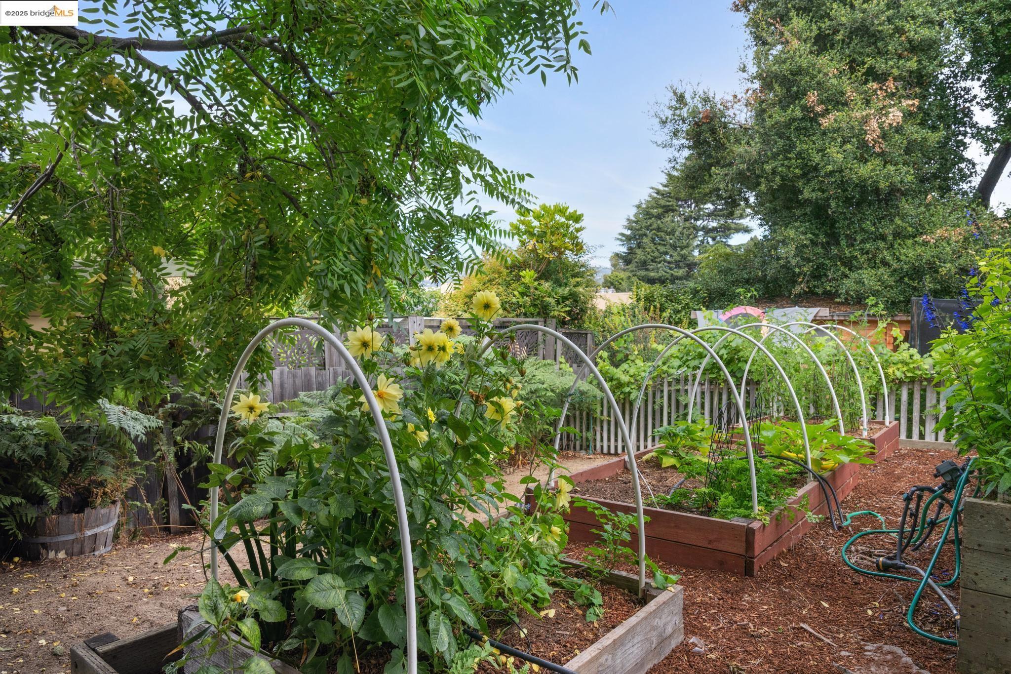 Detail Gallery Image 40 of 45 For 2114 E 30th St, Oakland,  CA 94606 - 3 Beds | 2 Baths