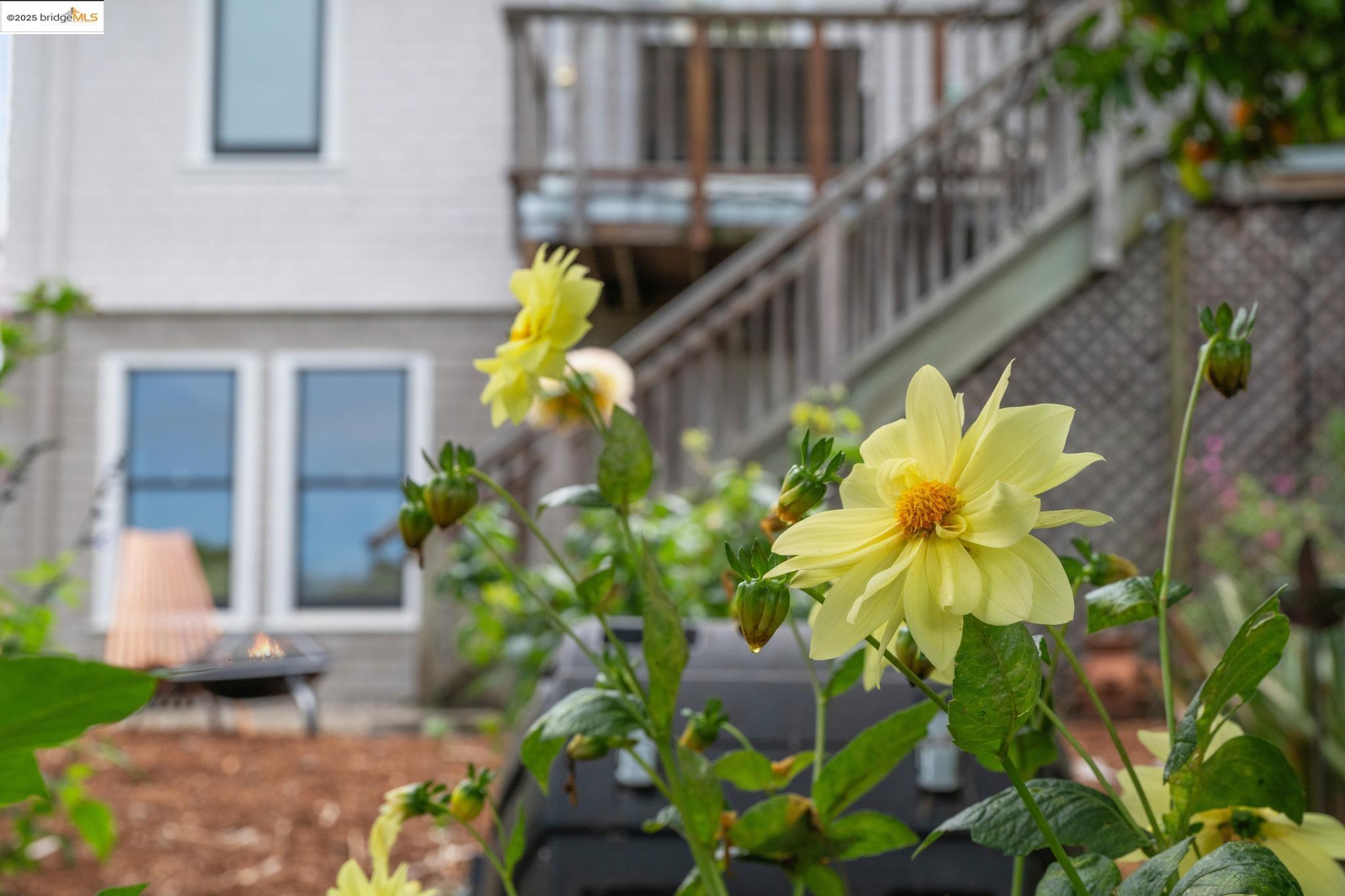 Detail Gallery Image 41 of 45 For 2114 E 30th St, Oakland,  CA 94606 - 3 Beds | 2 Baths