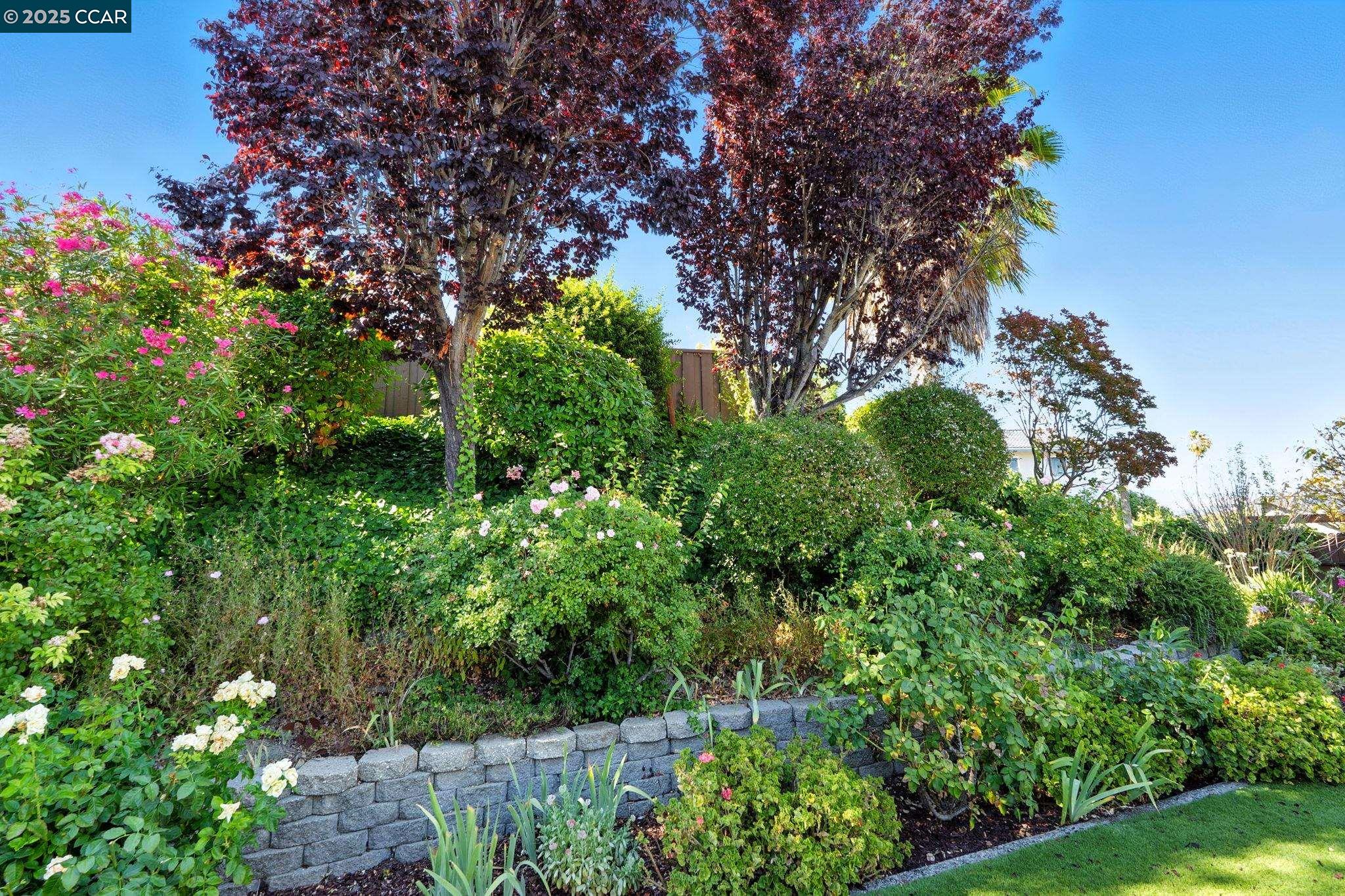 Detail Gallery Image 49 of 50 For 11448 Cresta Ln, Dublin,  CA 94568 - 4 Beds | 2 Baths