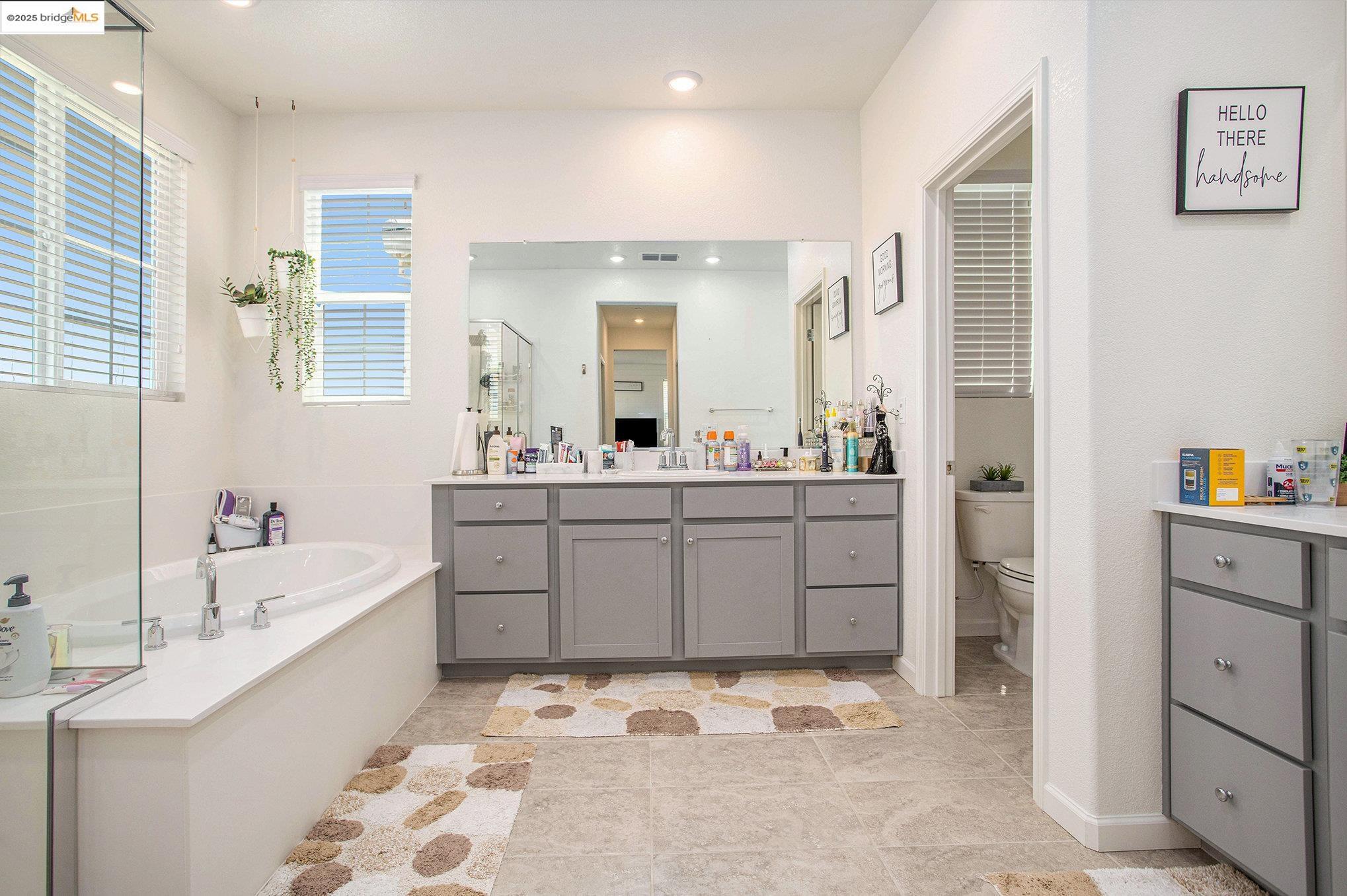 Detail Gallery Image 17 of 33 For 6476 Dan Havicus Dr, Tracy,  CA 95377 - 4 Beds | 3 Baths