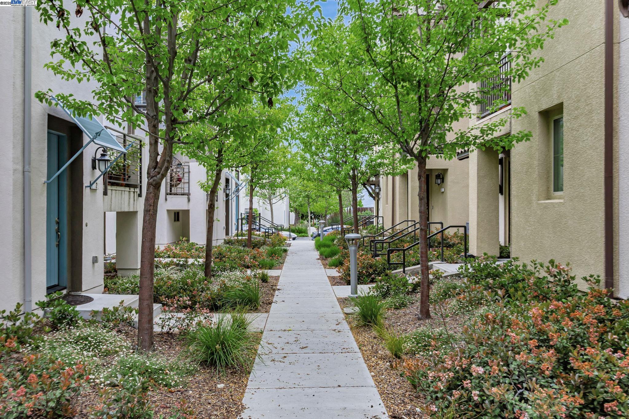 Detail Gallery Image 4 of 38 For 223 William Manly St #1,  San Jose,  CA 95136 - 3 Beds | 3 Baths