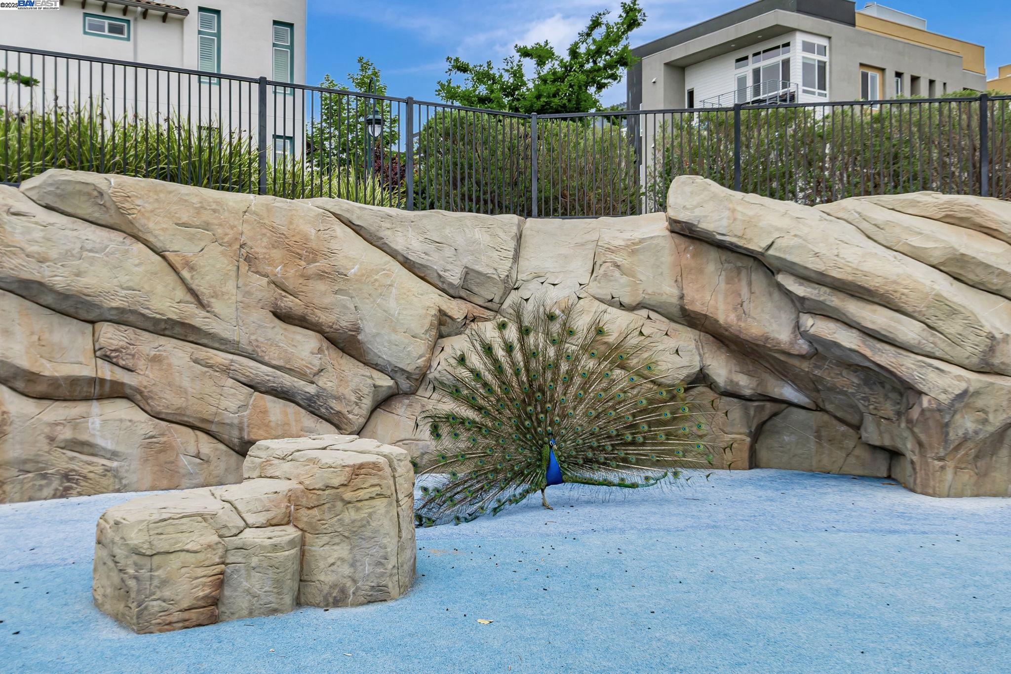 Detail Gallery Image 35 of 38 For 223 William Manly St #1,  San Jose,  CA 95136 - 3 Beds | 3 Baths
