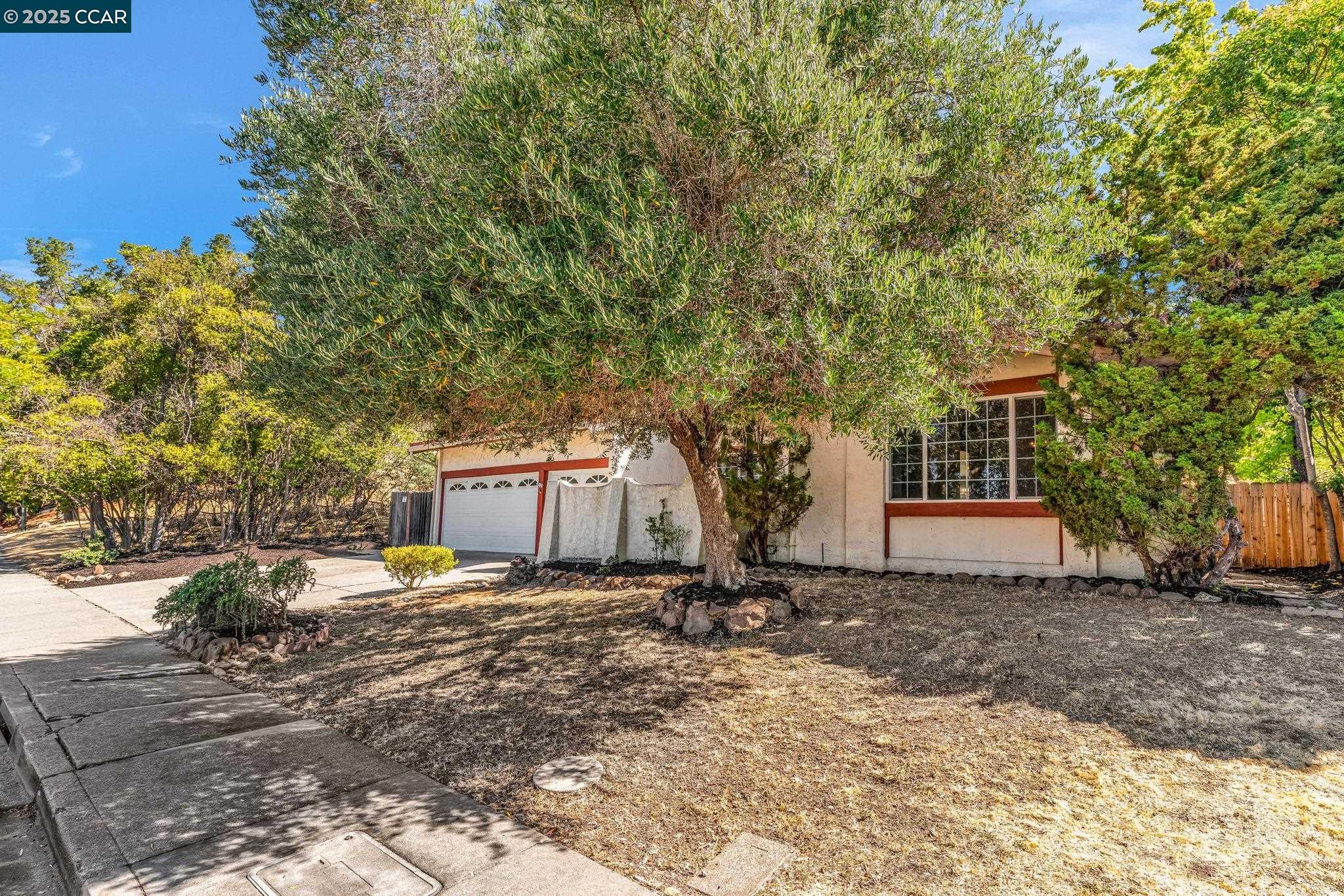 Detail Gallery Image 16 of 47 For 920 Palmer Rd, Walnut Creek,  CA 94596 - 3 Beds | 2 Baths