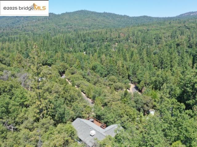 Detail Gallery Image 43 of 47 For 17301 Smokey River, Sonora,  CA 95370 - 3 Beds | 2 Baths