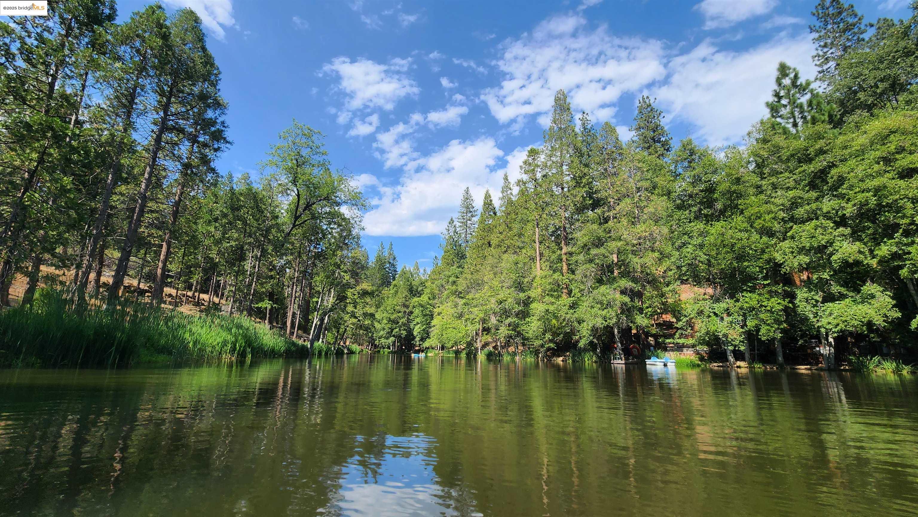 Detail Gallery Image 46 of 47 For 17301 Smokey River, Sonora,  CA 95370 - 3 Beds | 2 Baths