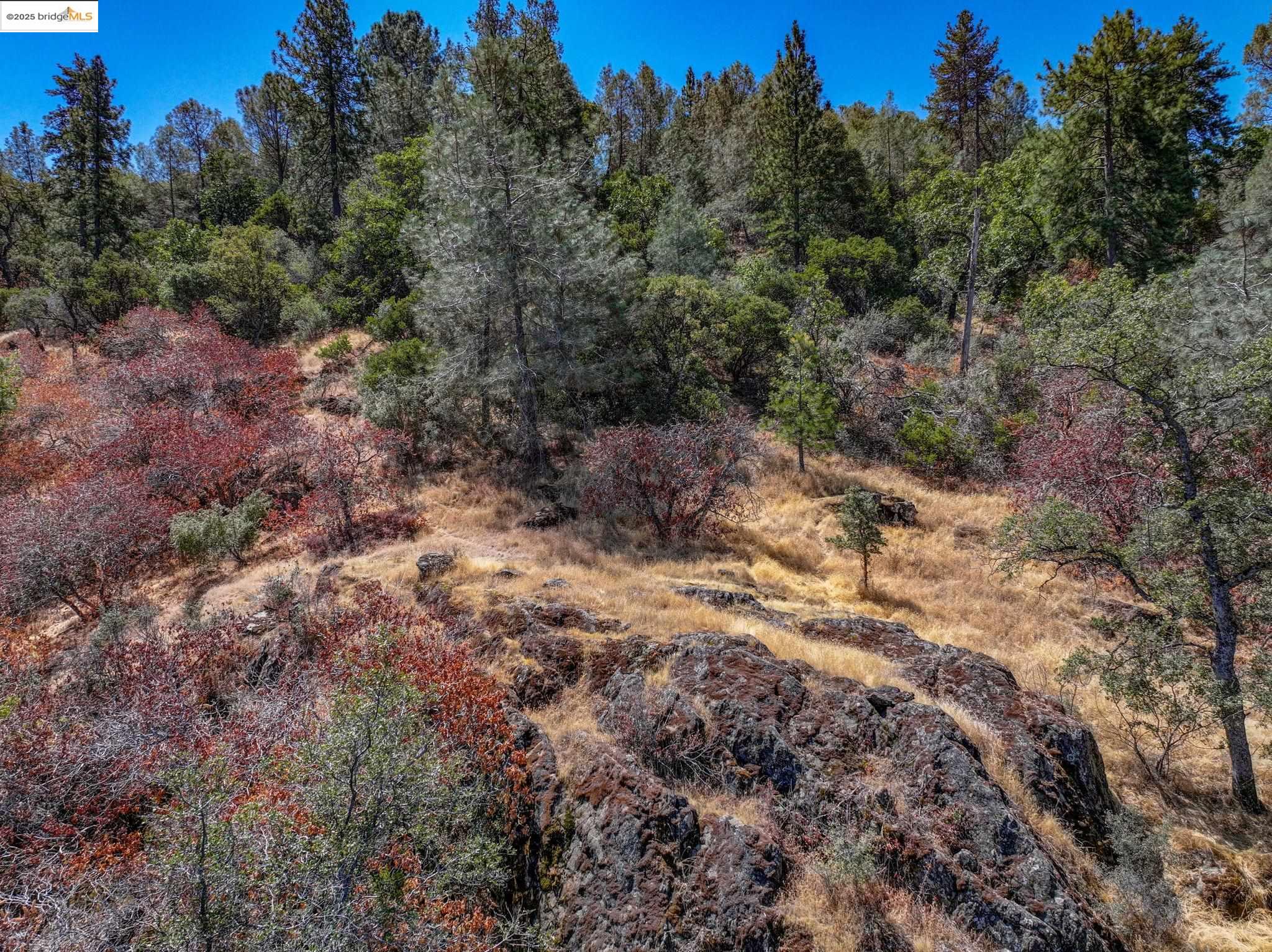 Detail Gallery Image 36 of 60 For 1244 Stallion Way, Angels Camp,  CA 95222 - 2 Beds | 1 Baths