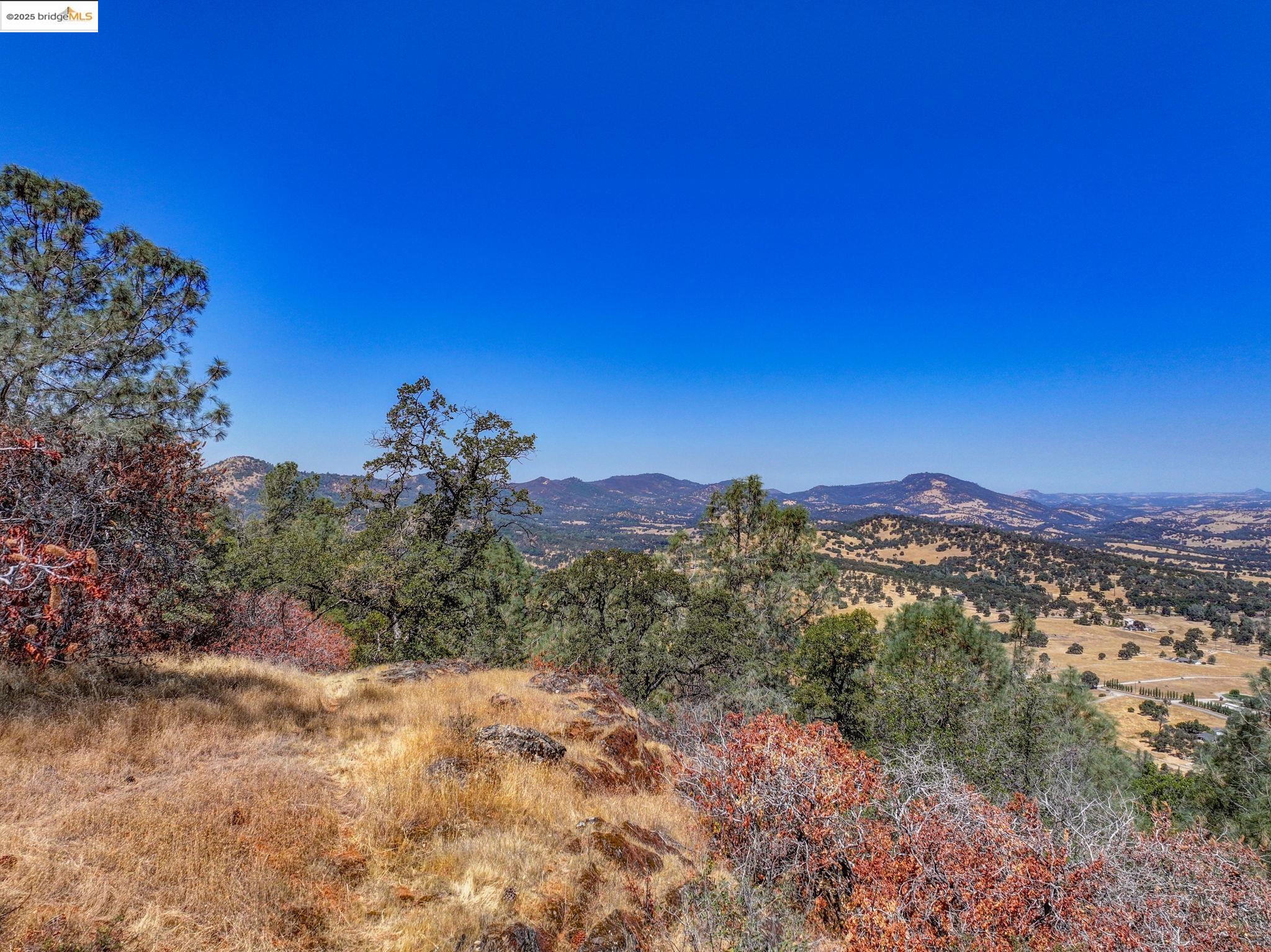 Detail Gallery Image 38 of 60 For 1244 Stallion Way, Angels Camp,  CA 95222 - 2 Beds | 1 Baths