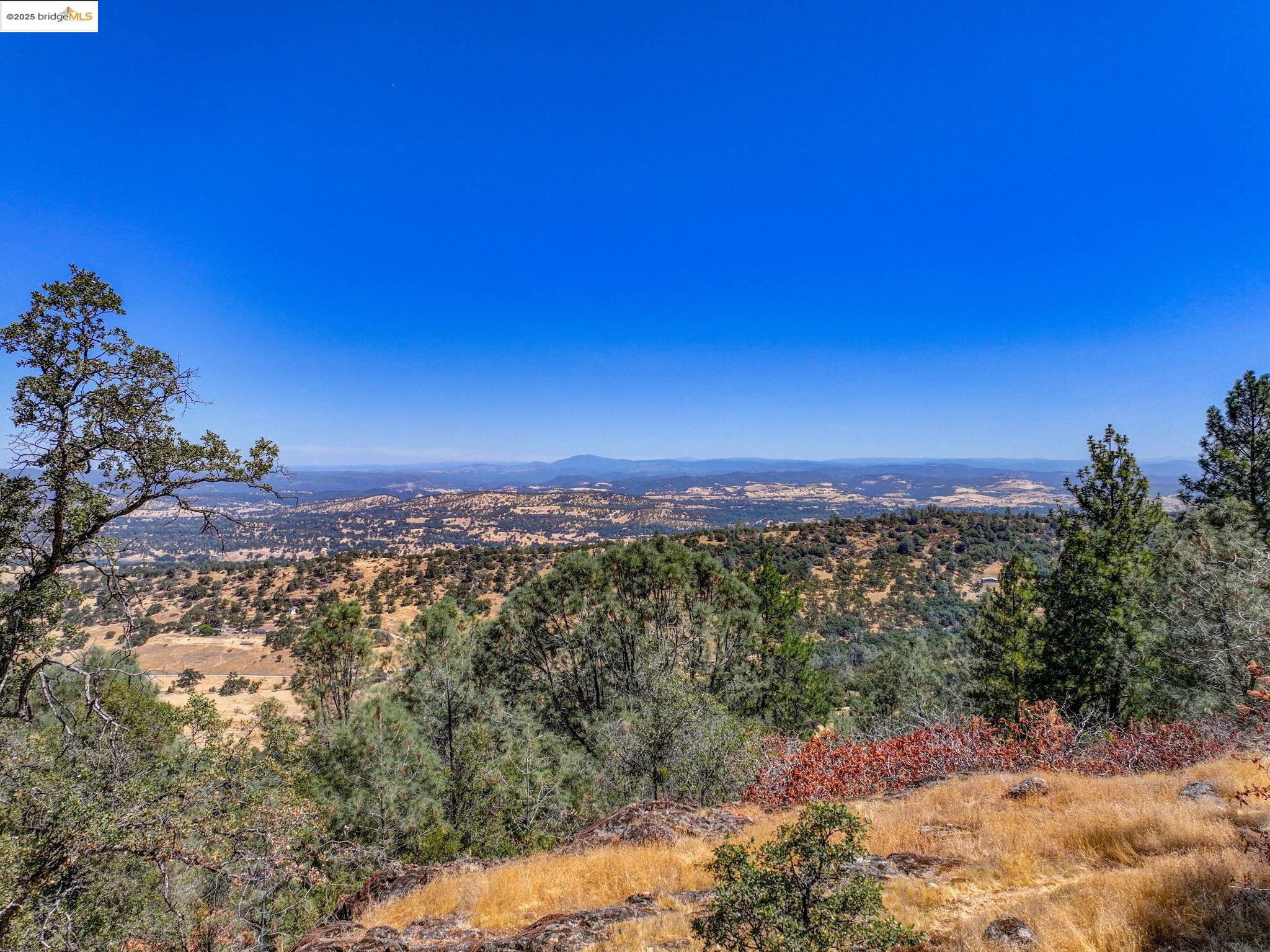Detail Gallery Image 7 of 60 For 1244 Stallion Way, Angels Camp,  CA 95222 - 2 Beds | 1 Baths