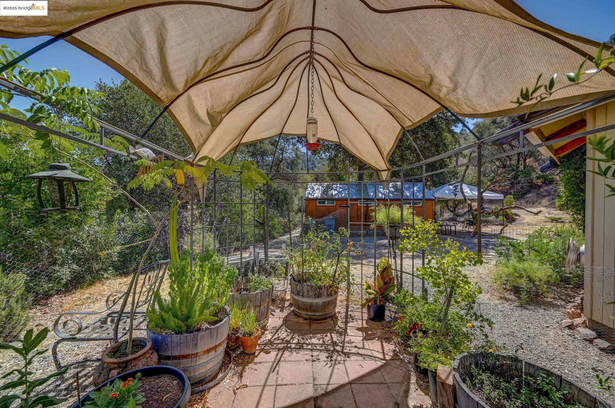 Detail Gallery Image 9 of 60 For 1244 Stallion Way, Angels Camp,  CA 95222 - 2 Beds | 1 Baths