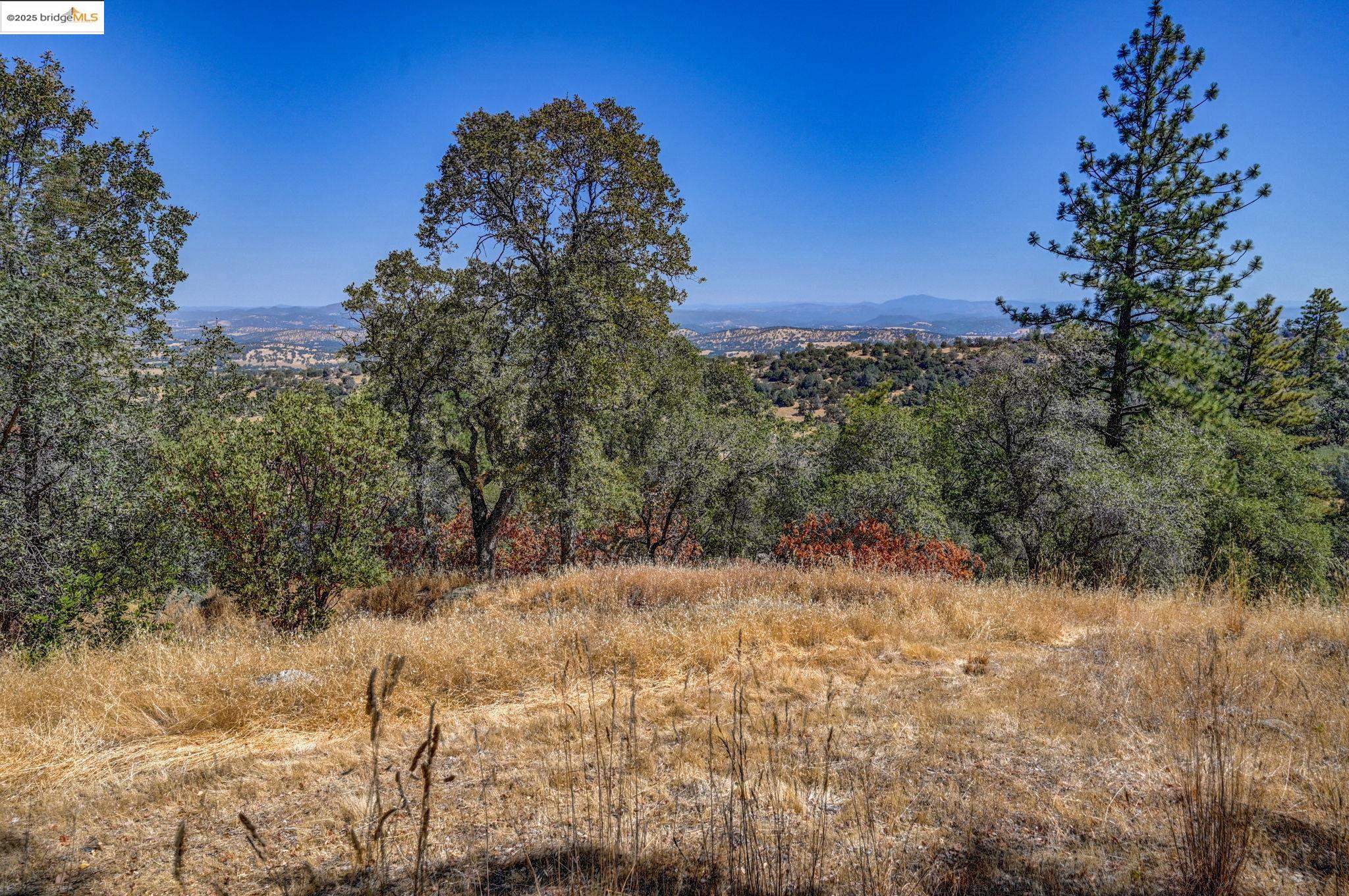 Detail Gallery Image 10 of 60 For 1244 Stallion Way, Angels Camp,  CA 95222 - 2 Beds | 1 Baths
