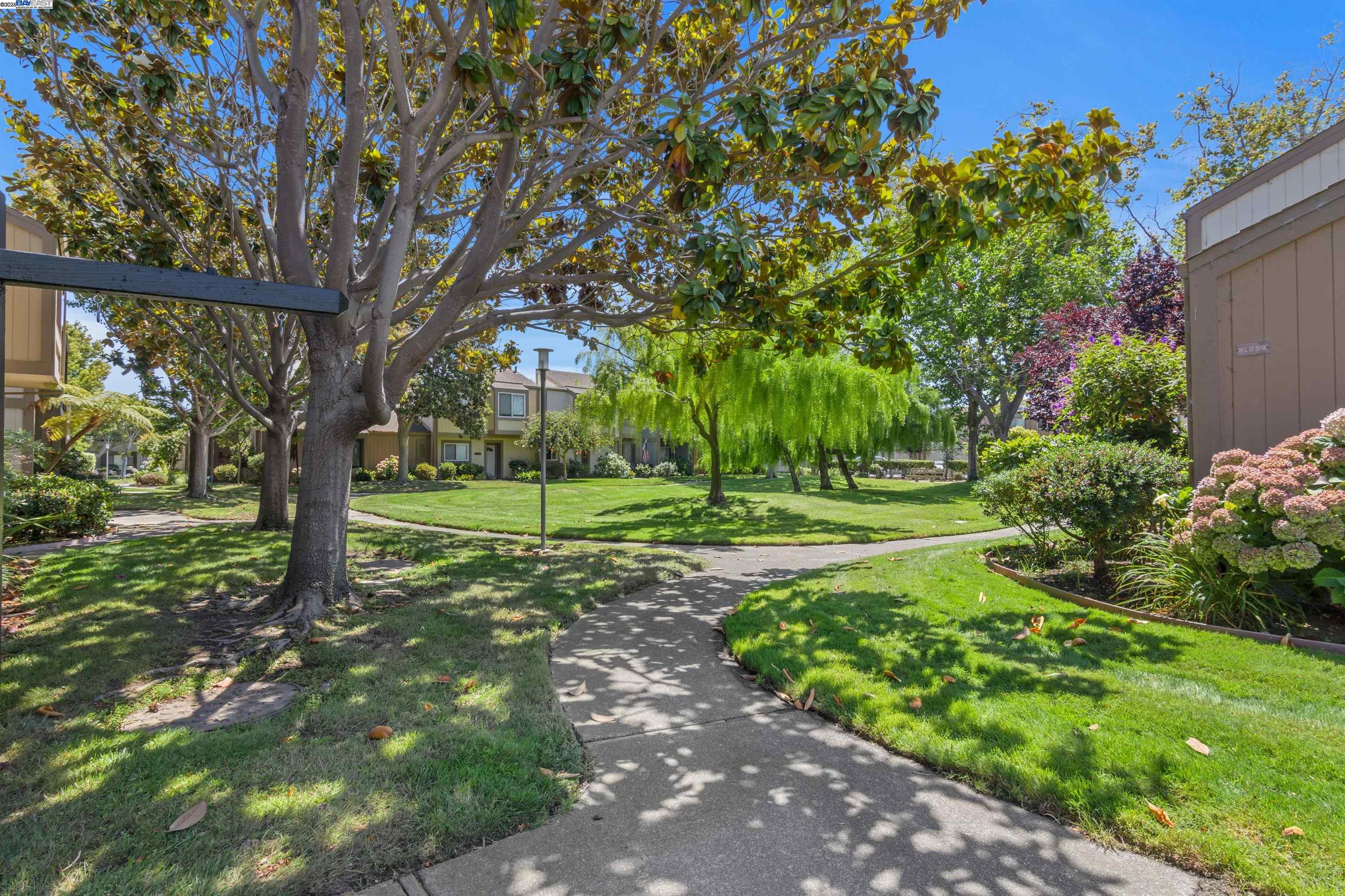 Photo #2: 41108459 Listing 
