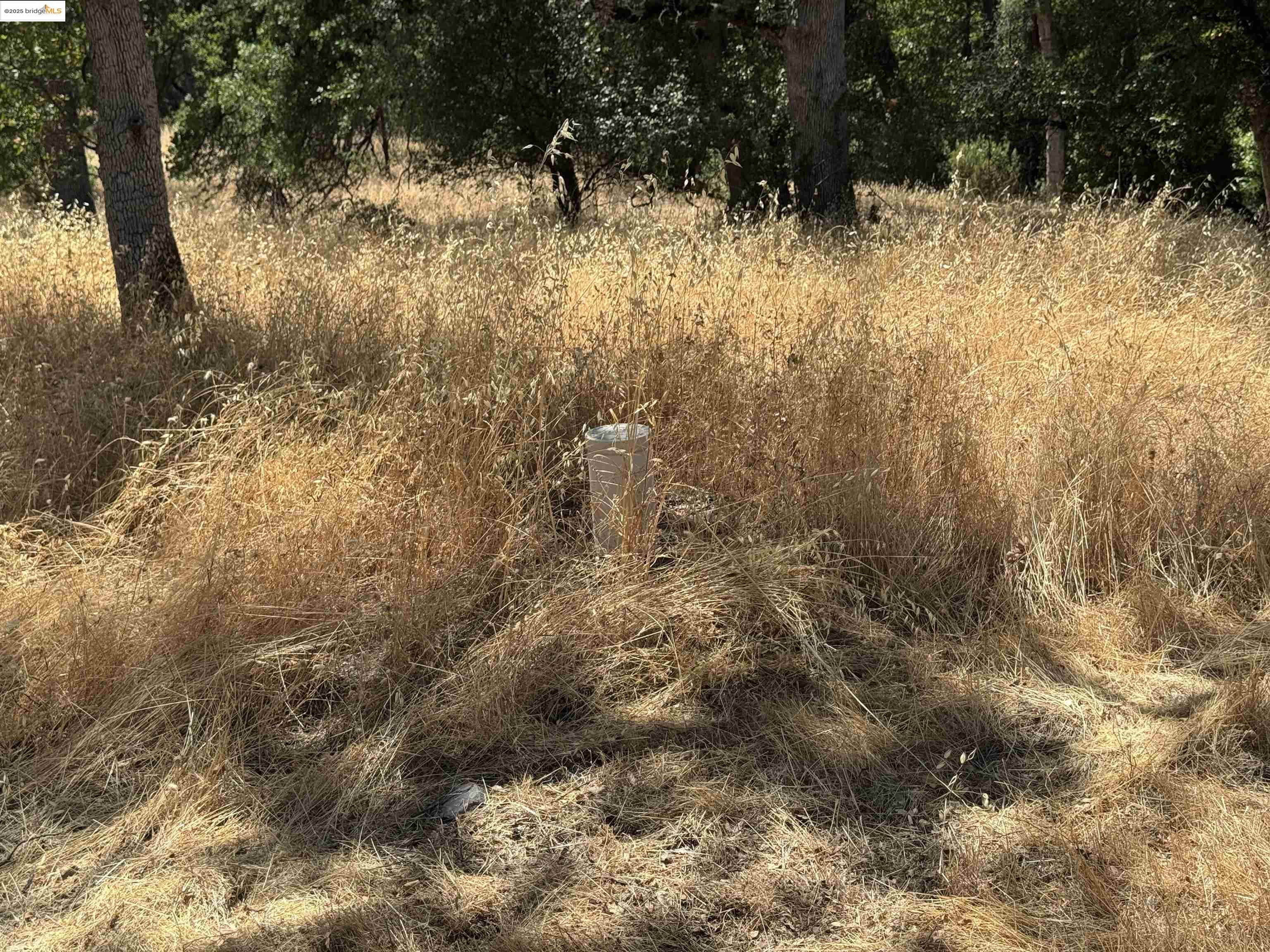 Detail Gallery Image 16 of 20 For Vineyard Terrace Dr., Murphys,  CA 95247 - – Beds | – Baths
