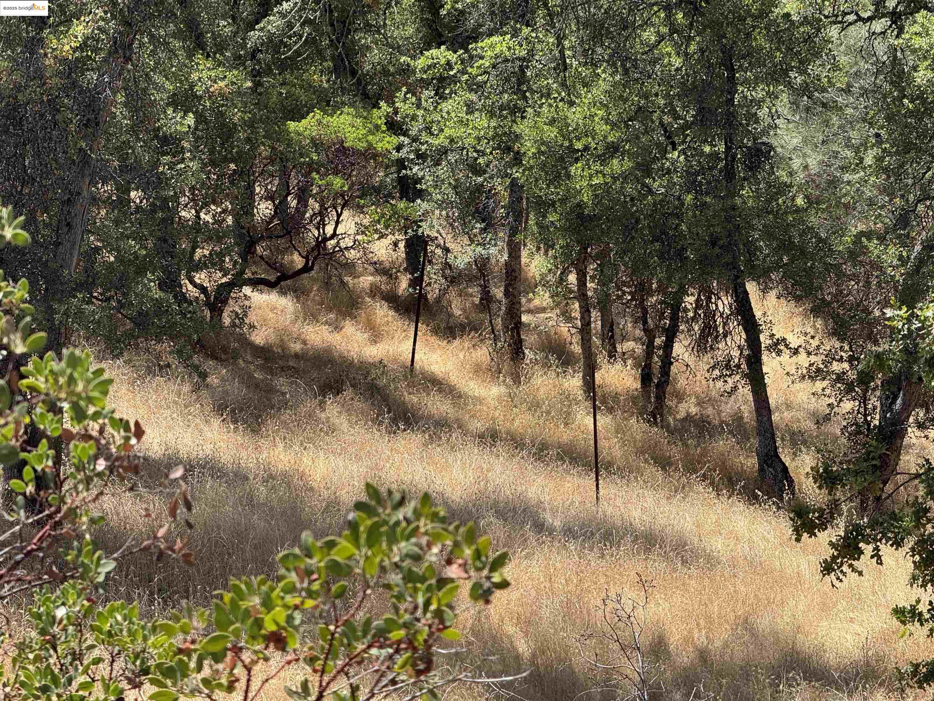 Detail Gallery Image 17 of 20 For Vineyard Terrace Dr., Murphys,  CA 95247 - – Beds | – Baths
