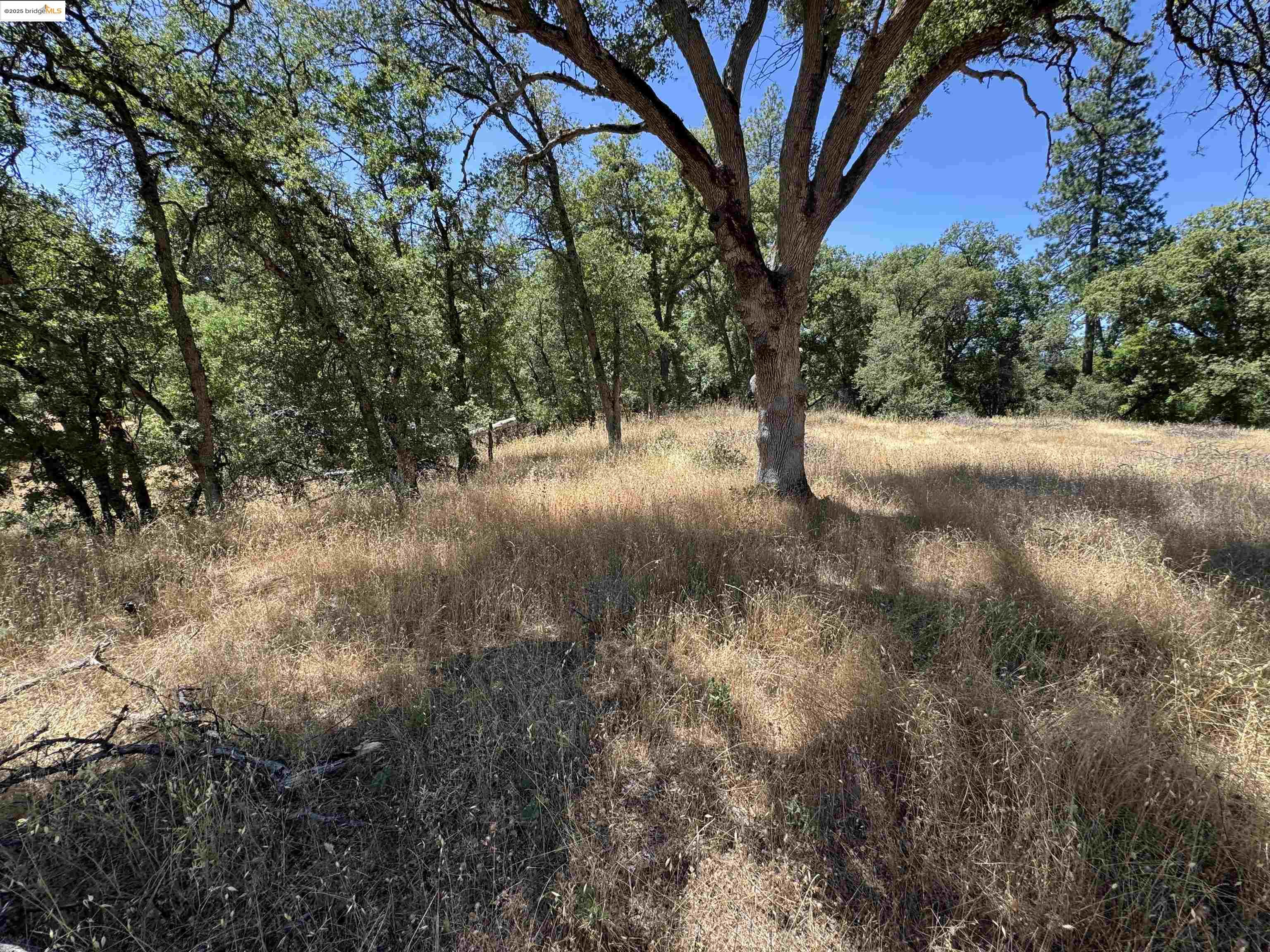Detail Gallery Image 18 of 20 For Vineyard Terrace Dr., Murphys,  CA 95247 - – Beds | – Baths