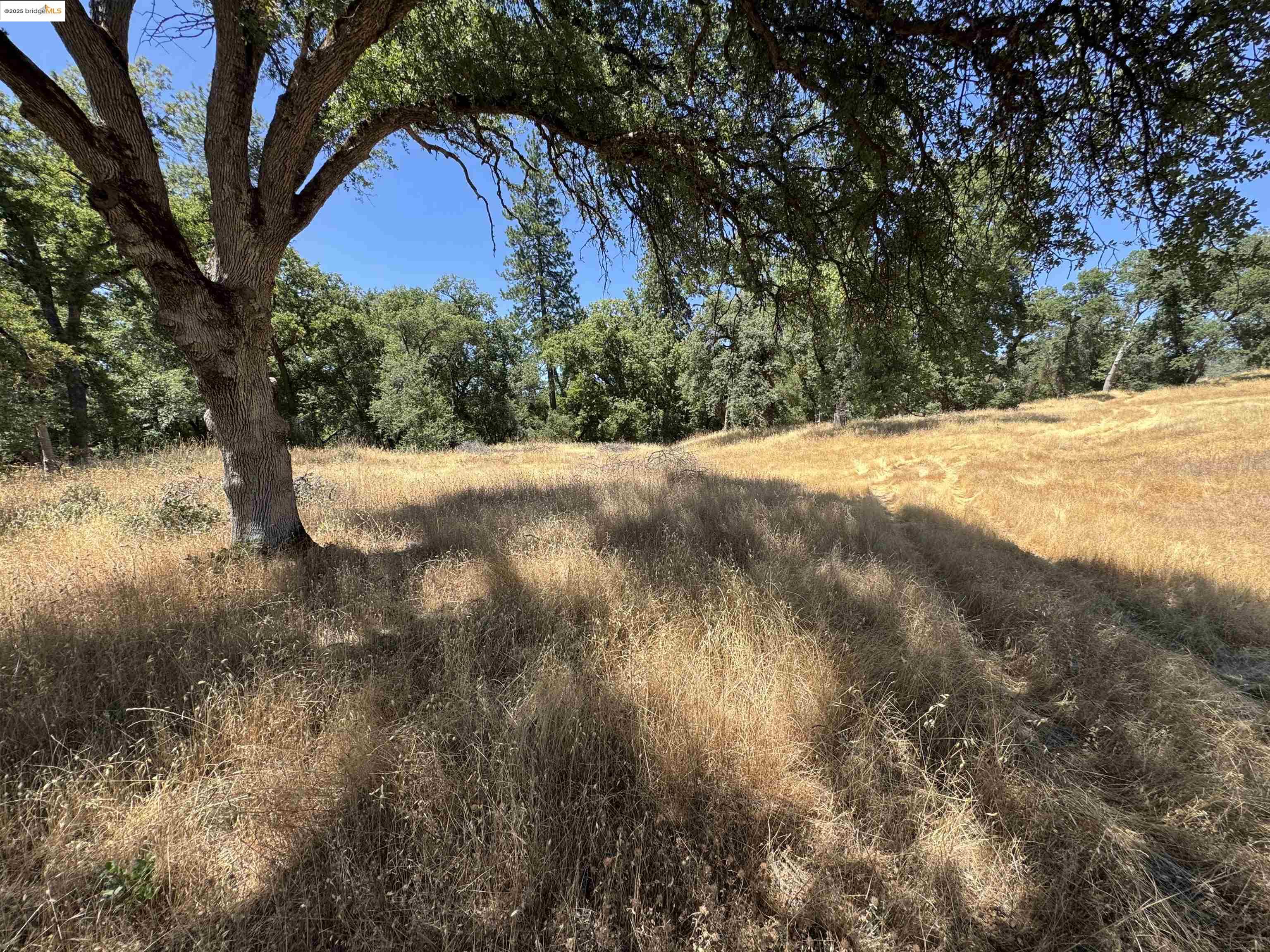 Detail Gallery Image 19 of 20 For Vineyard Terrace Dr., Murphys,  CA 95247 - – Beds | – Baths