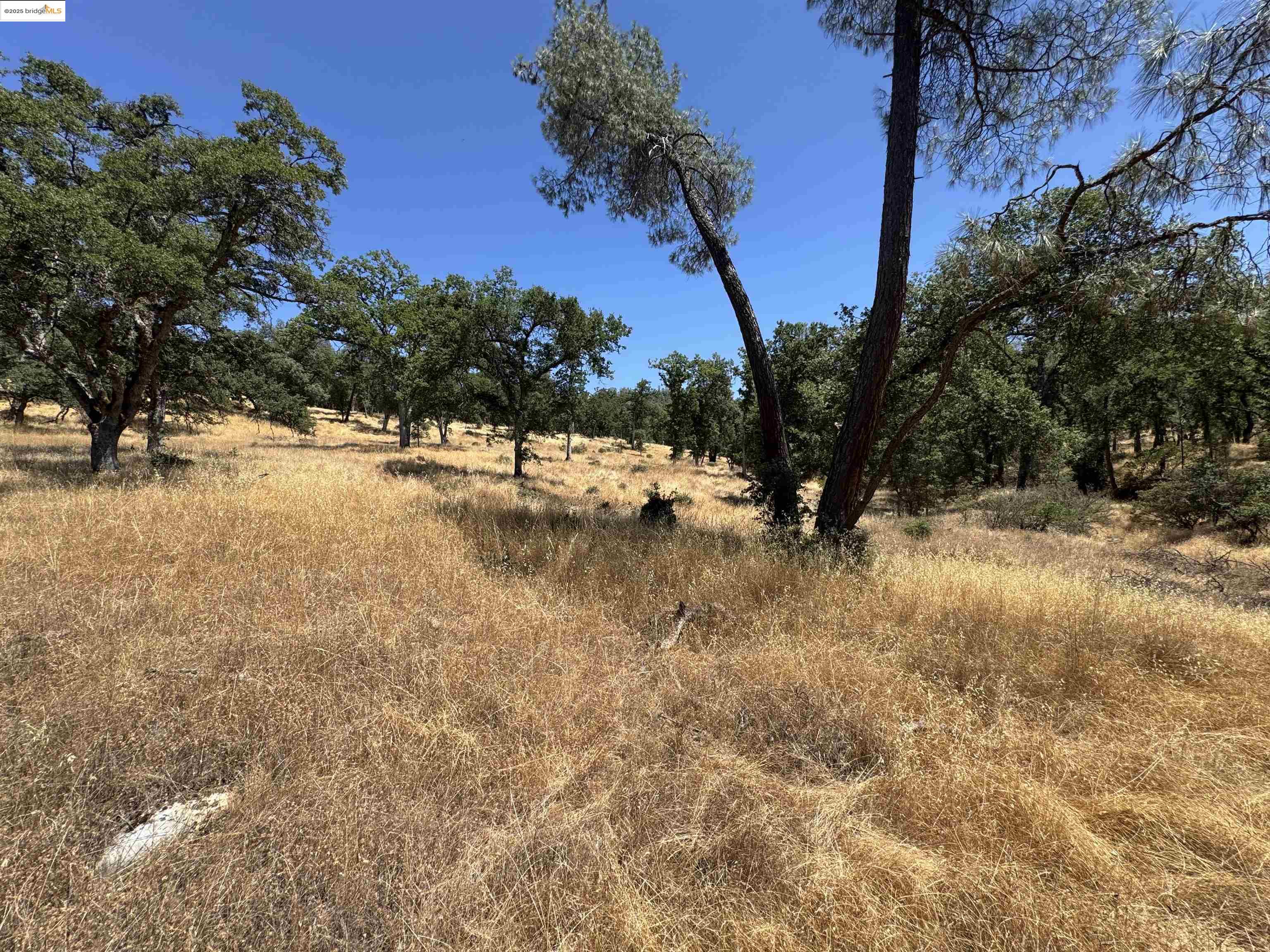 Detail Gallery Image 20 of 20 For Vineyard Terrace Dr., Murphys,  CA 95247 - – Beds | – Baths
