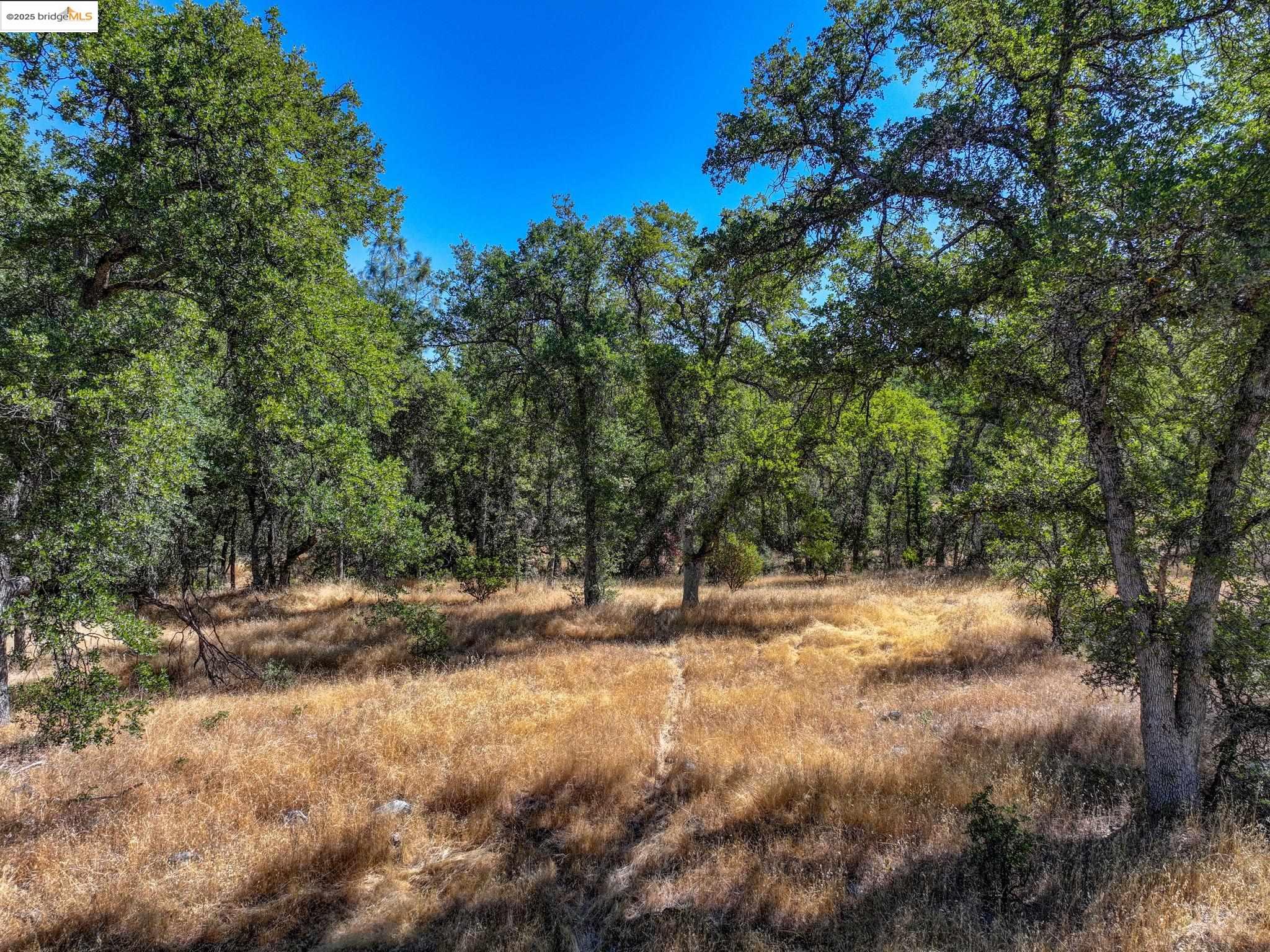 Detail Gallery Image 6 of 20 For Vineyard Terrace Dr., Murphys,  CA 95247 - – Beds | – Baths