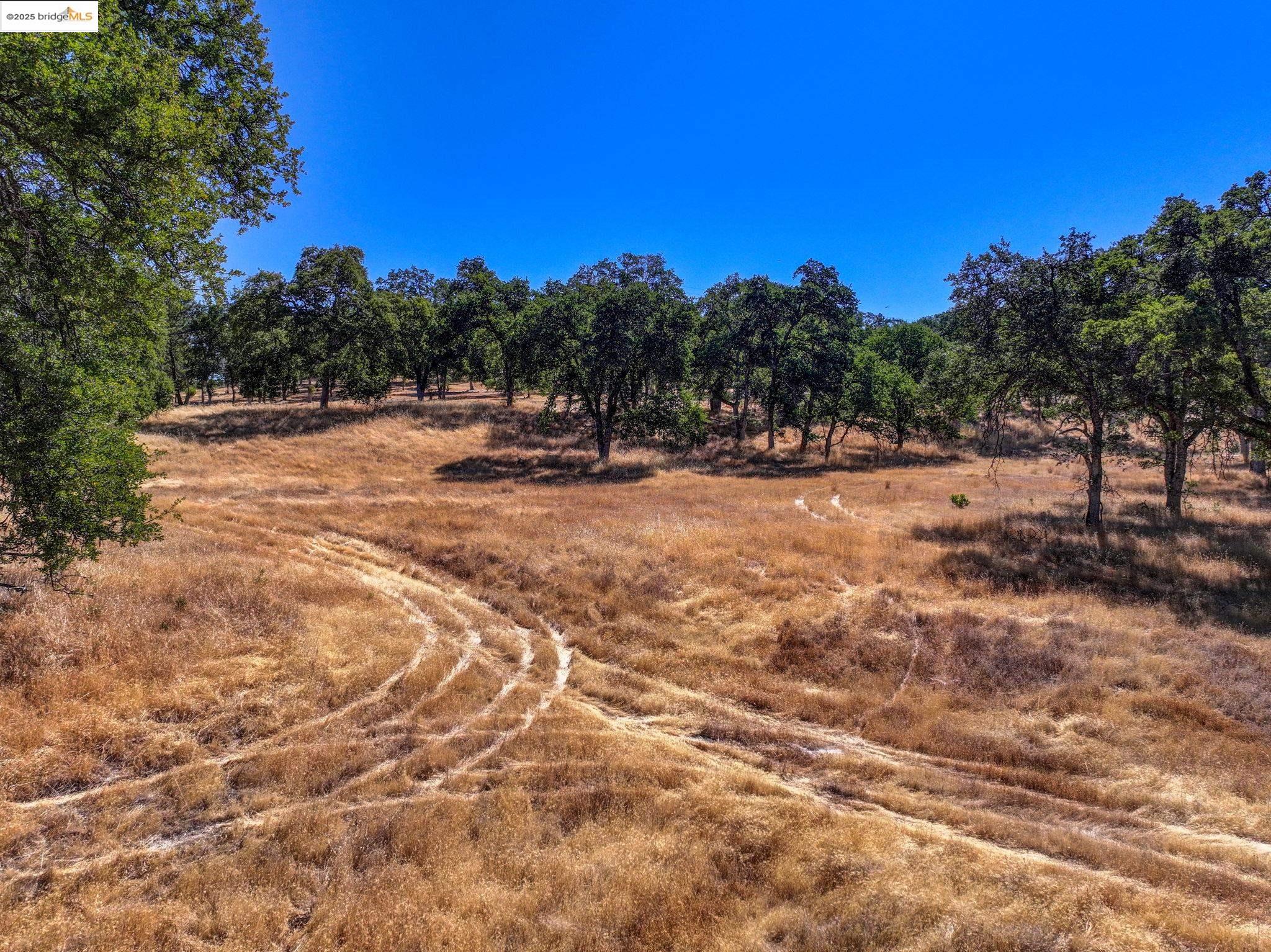 Detail Gallery Image 9 of 20 For Vineyard Terrace Dr., Murphys,  CA 95247 - – Beds | – Baths