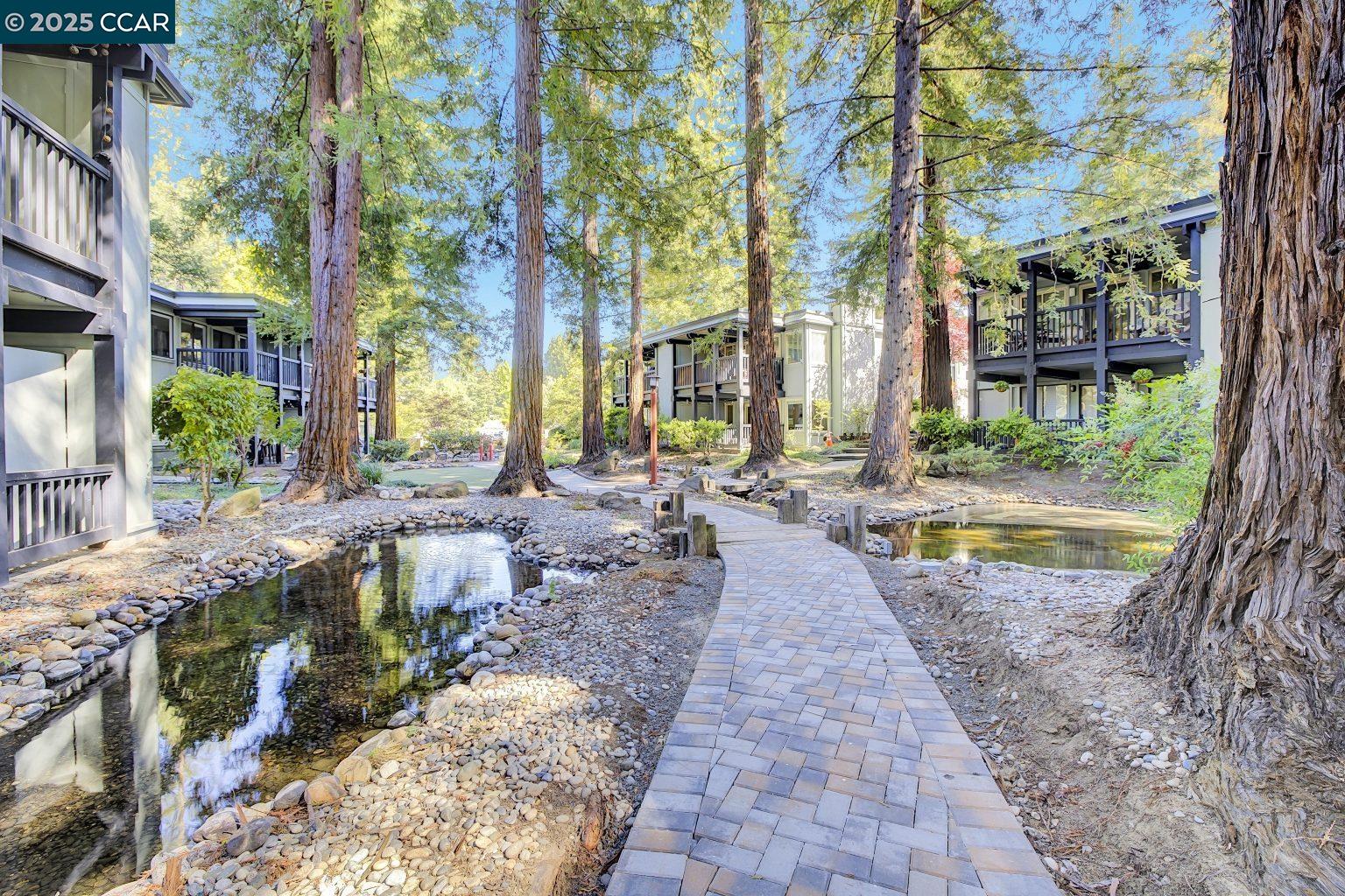 Photo #39: 41108496 Listing: Photo #39