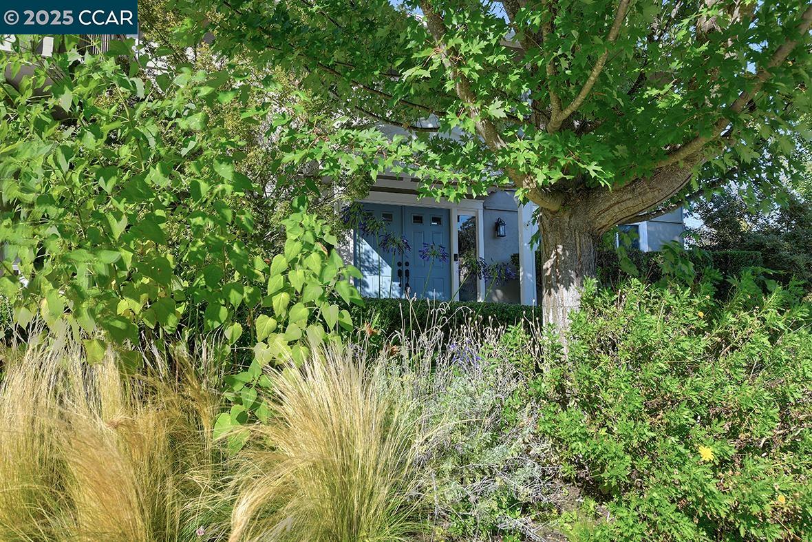 Detail Gallery Image 59 of 59 For 235 Appalachian Dr, Martinez,  CA 94553 - 5 Beds | 2/1 Baths