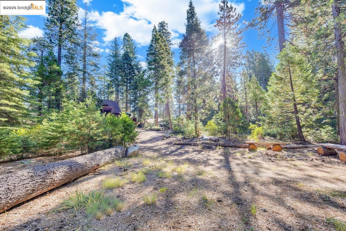 Detail Gallery Image 28 of 34 For 311 Fir, Pinecrest,  CA 95370 - 3 Beds | 1 Baths