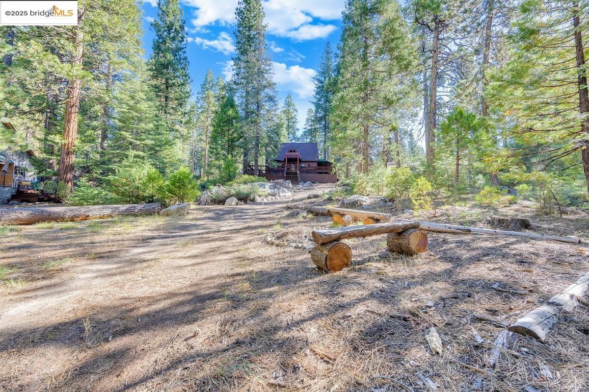 Detail Gallery Image 29 of 34 For 311 Fir, Pinecrest,  CA 95370 - 3 Beds | 1 Baths