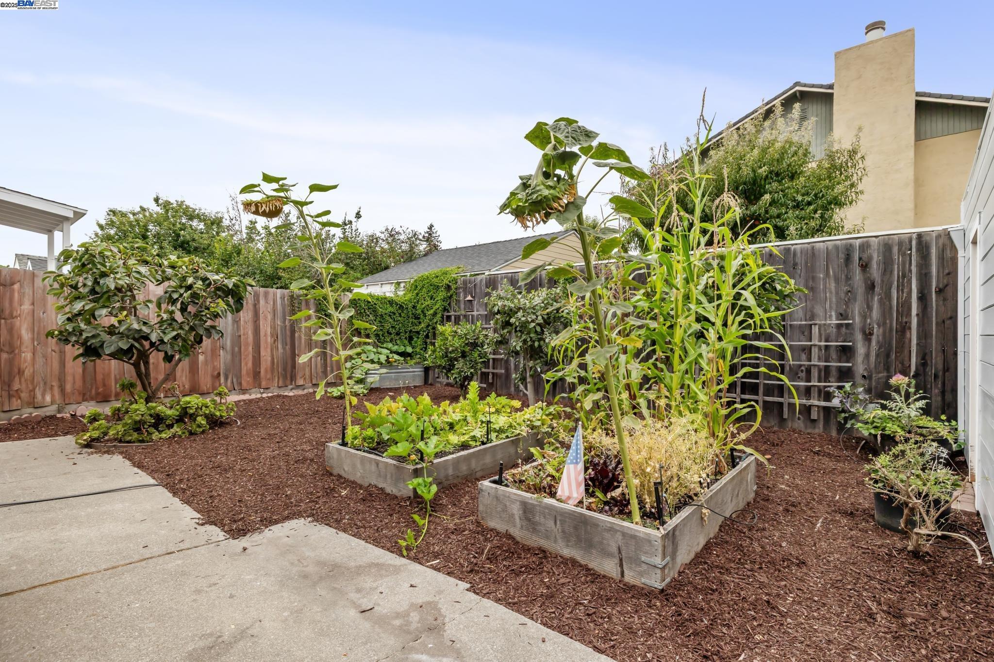Detail Gallery Image 36 of 47 For 332 W Broadmoor Blvd, San Leandro,  CA 94577 - 3 Beds | 2 Baths