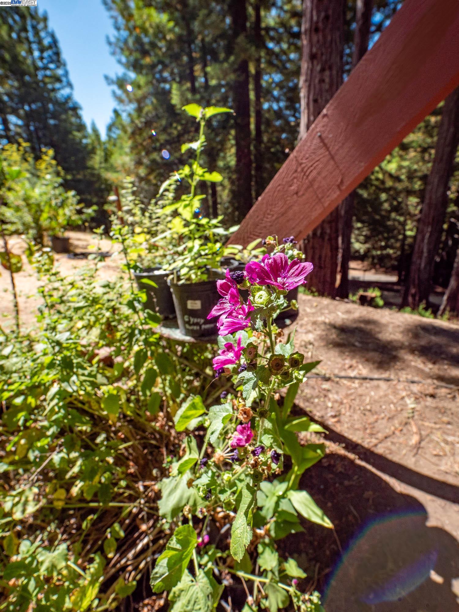 Detail Gallery Image 35 of 59 For 17900 Appian Way, Navarro,  CA 95463 - 3 Beds | 2 Baths