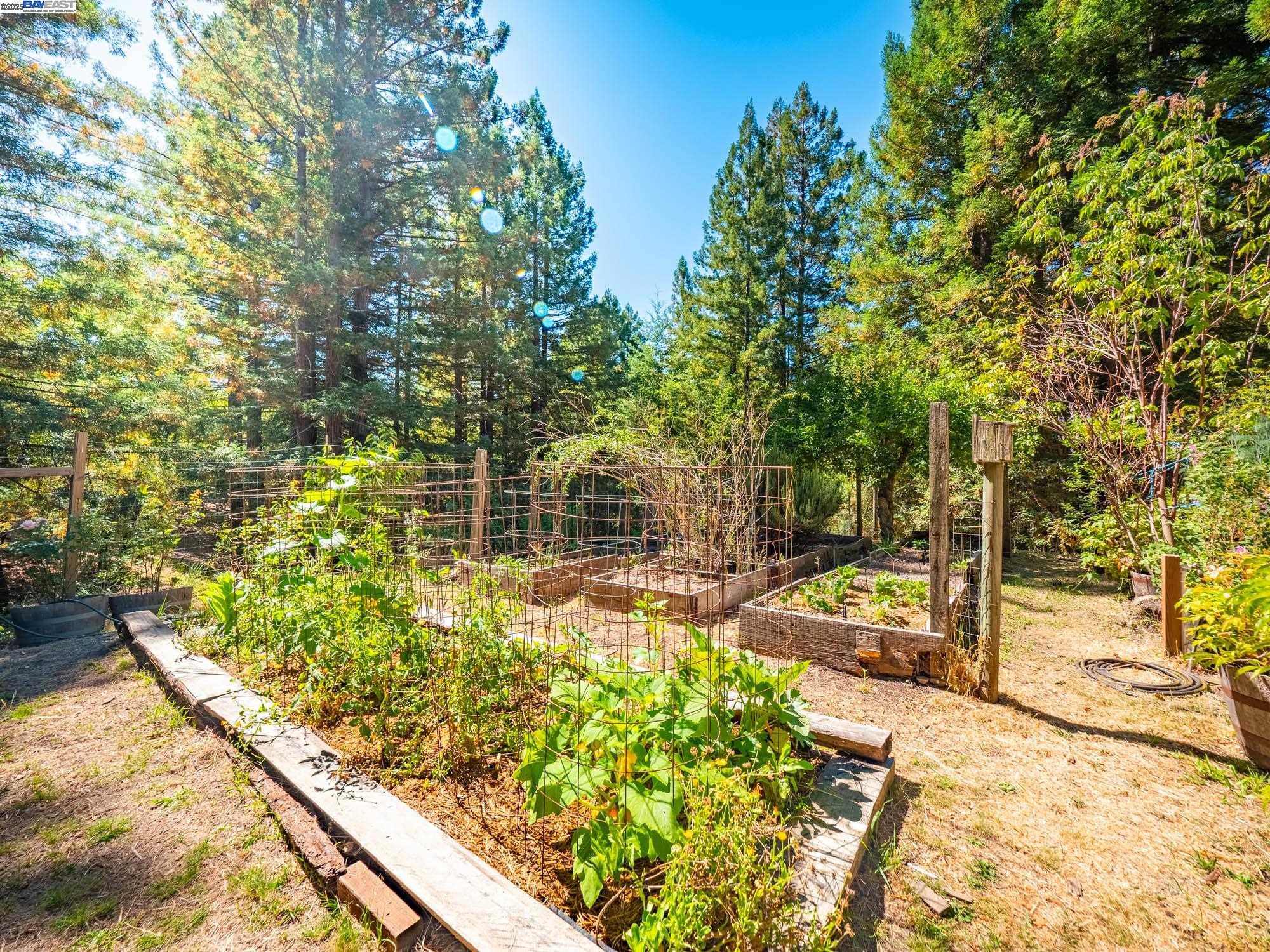 Detail Gallery Image 37 of 59 For 17900 Appian Way, Navarro,  CA 95463 - 3 Beds | 2 Baths