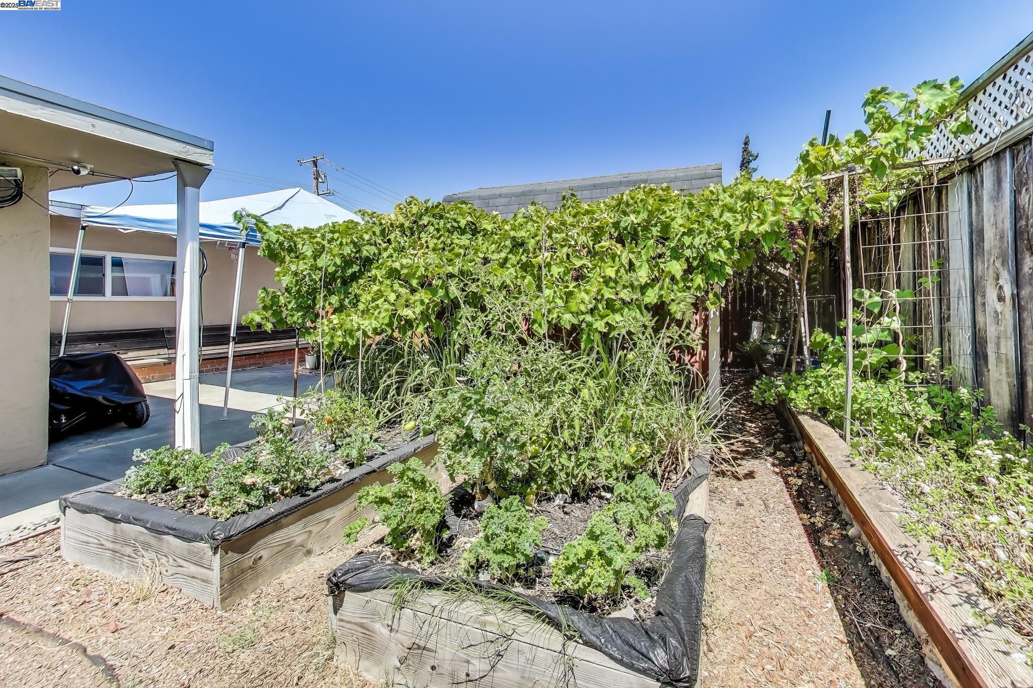 Detail Gallery Image 32 of 34 For 32364 Payne St, Hayward,  CA 94544 - 3 Beds | 2 Baths