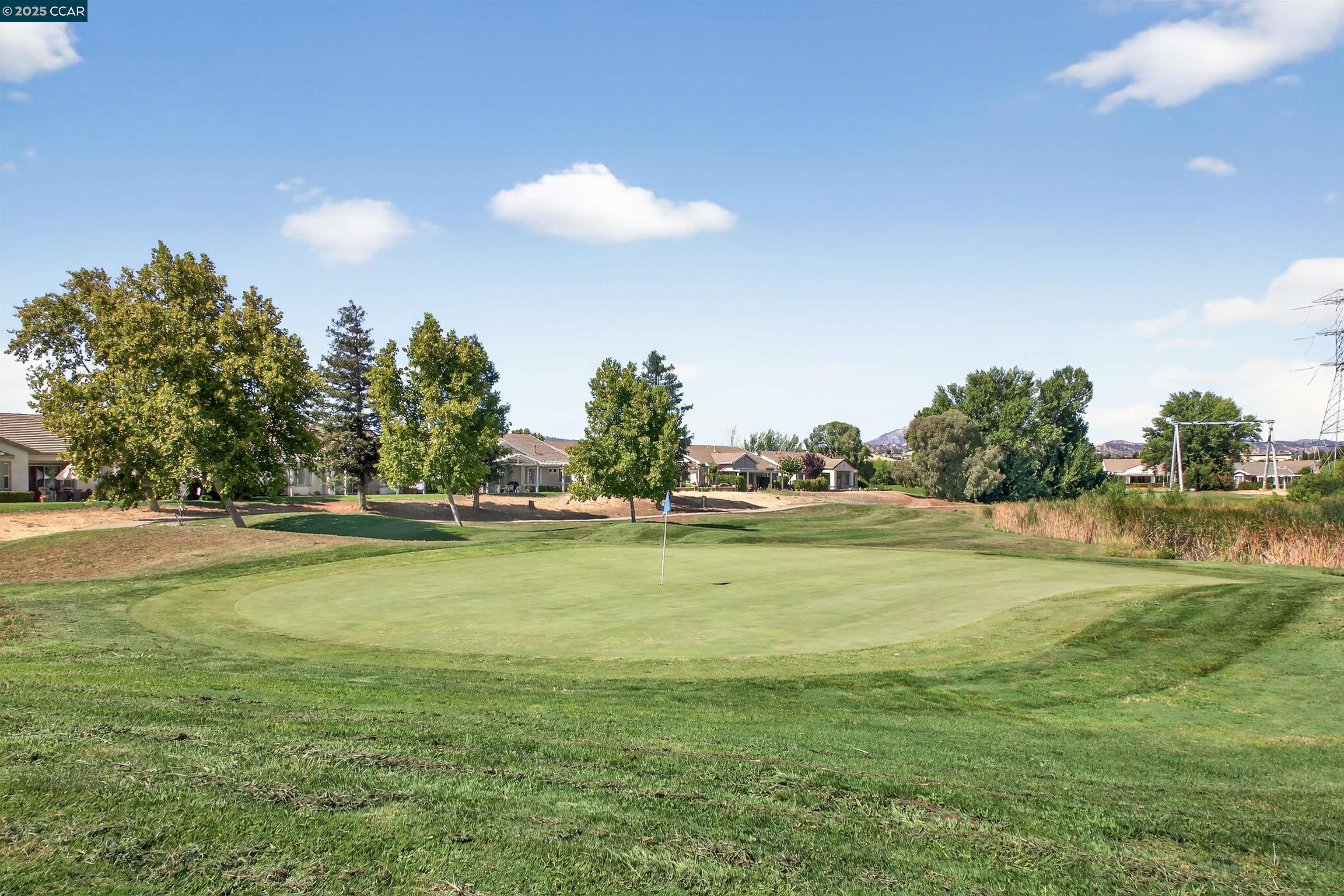 Detail Gallery Image 27 of 30 For 280 Black Amber Way, Brentwood,  CA 94513 - 2 Beds | 2 Baths