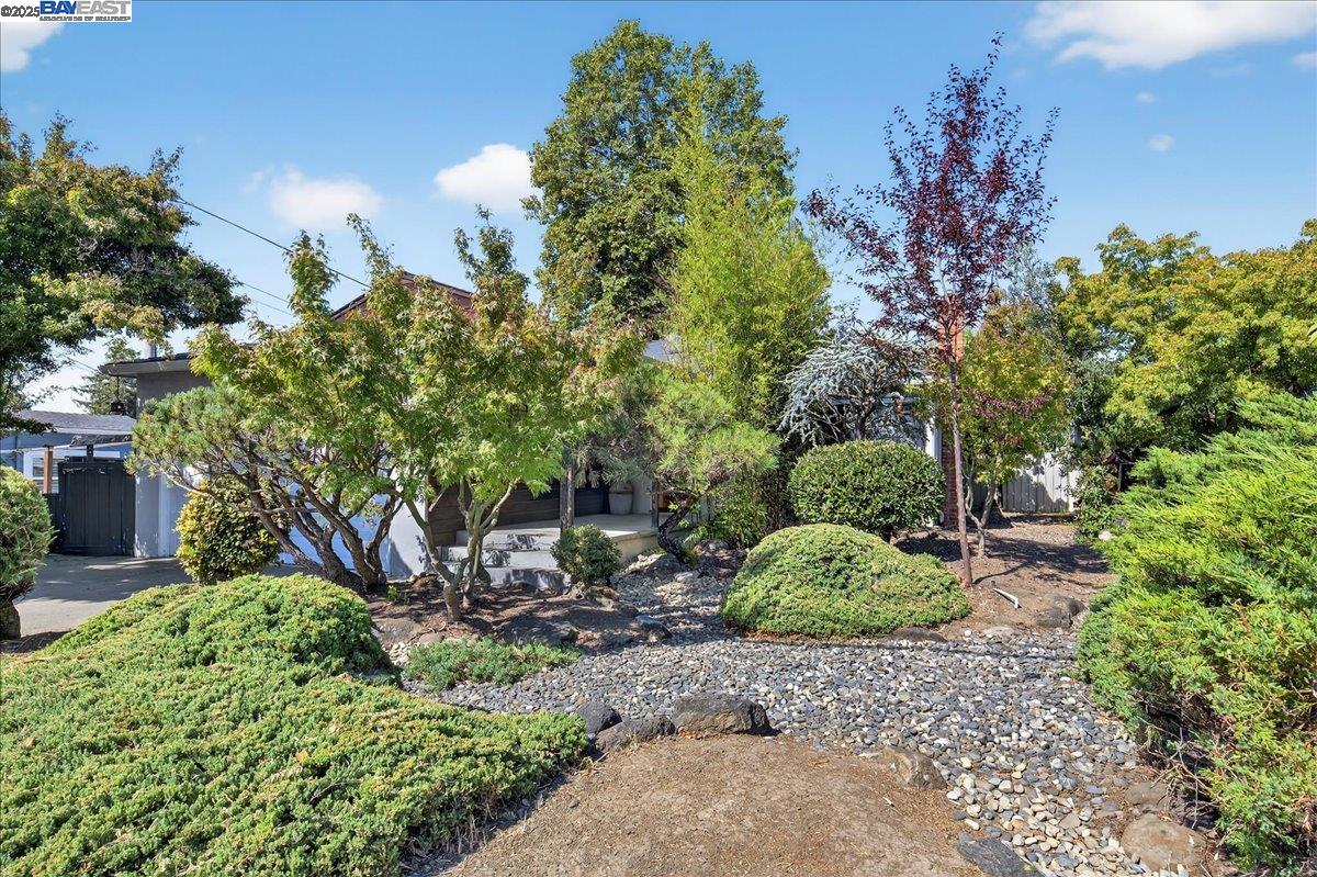 Detail Gallery Image 1 of 45 For 19347 Parsons Ave, Castro Valley,  CA 94546 - 3 Beds | 2 Baths