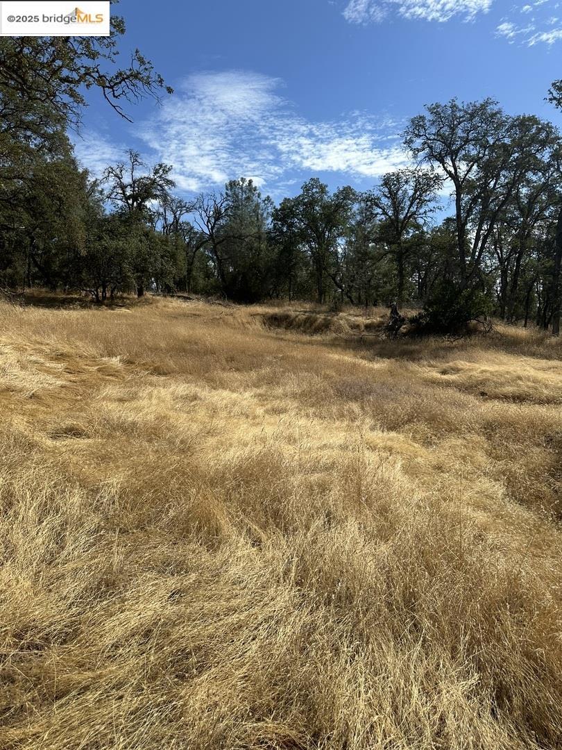 Detail Gallery Image 12 of 17 For 18891 Tanglewood Hollow Way, Grass Valley,  CA 95949 - – Beds | – Baths