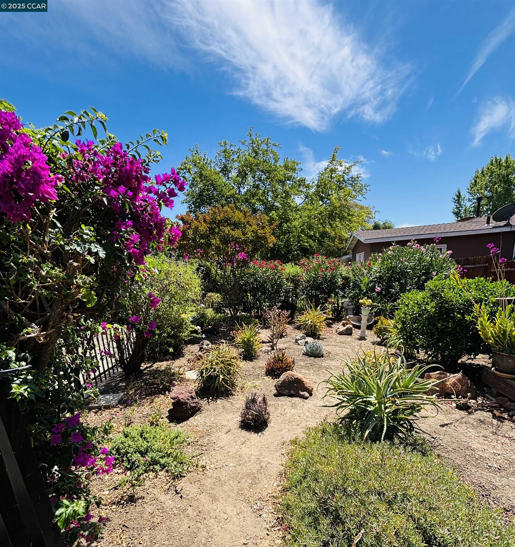Detail Gallery Image 4 of 10 For 241 Wellington Ave, Concord,  CA 94520 - 1 Beds | 1 Baths