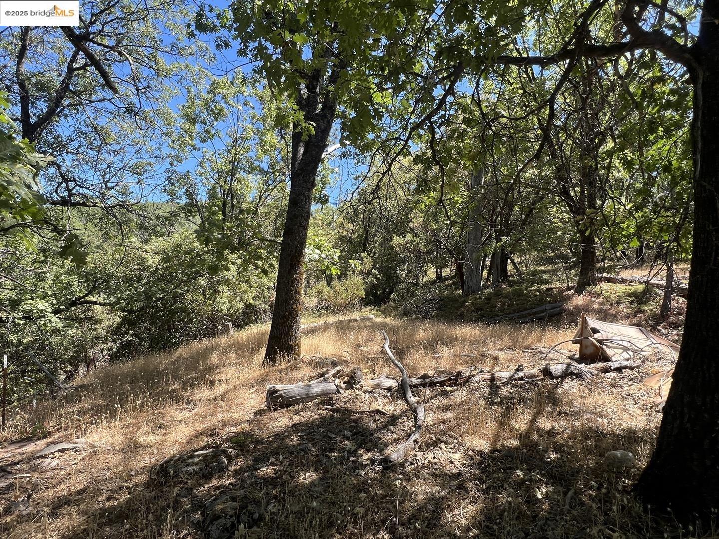 Detail Gallery Image 14 of 28 For 13083 Dondero Rd, Sonora,  CA 95370 - – Beds | – Baths